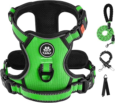 IVY&LANE No Pull Dog Harness for Medium Dogs, Dog Vest Harness with Leash, Safety Belt and Storage Strap, Fully Adjustable Harness, 360 Reflective Strip, Soft Handle Green,M