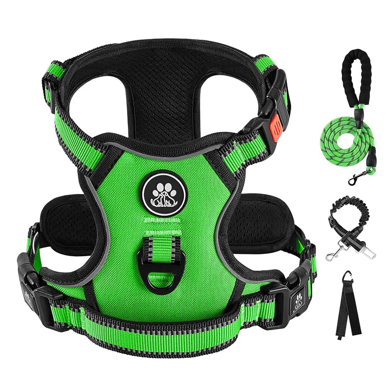 Peitoral Vest Ajustável e Refletivo para Cães Médios IVY&LANE, Verde, Medium