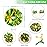 4Pcs Metallic Cheerleading Pom Poms, Creatiee 2 Pair Cheerleader Cheering Squad Pompoms for School Sports Dance Games Team Spirit Cheer (Green Gold)