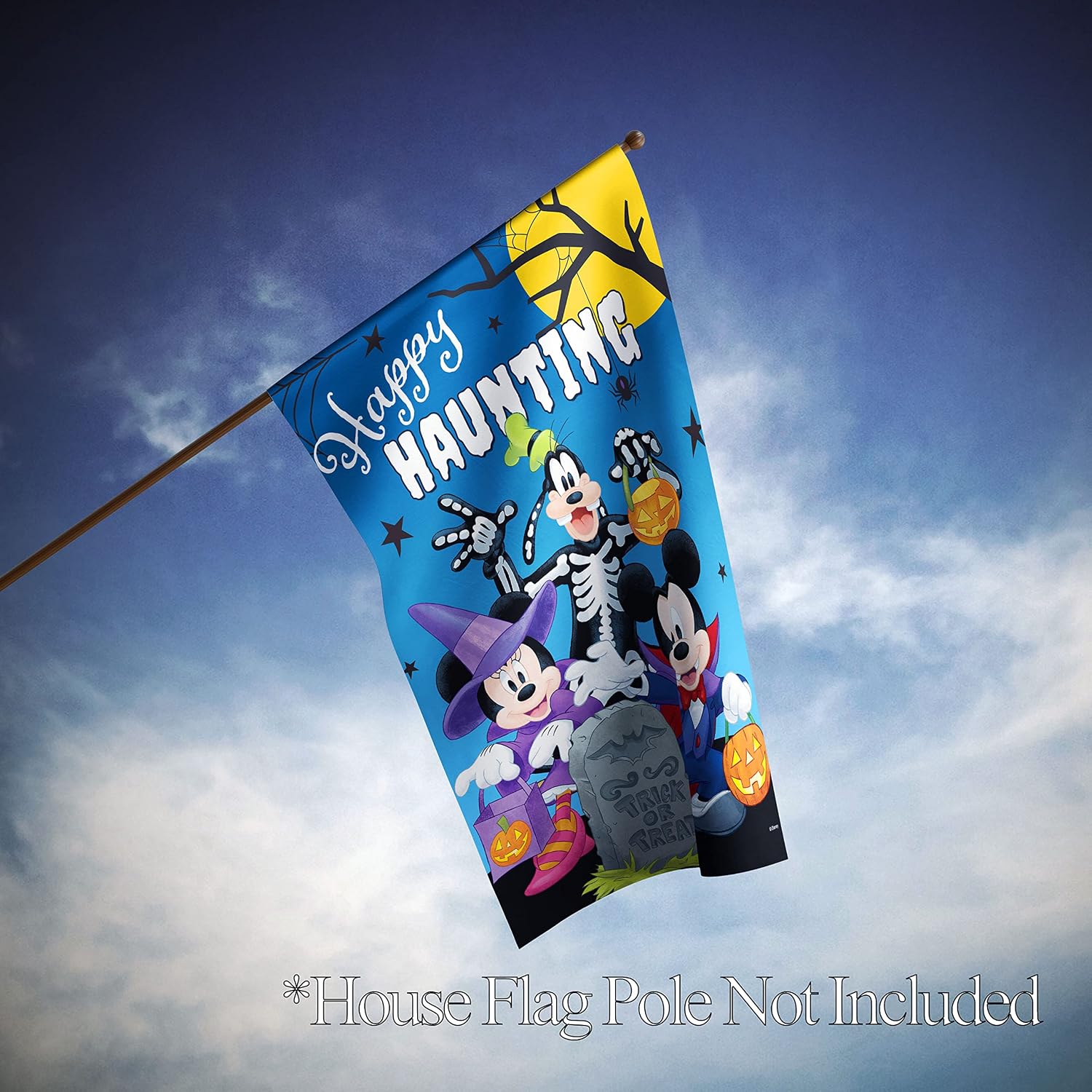 Flagology.com, Disney Happy Haunting Disney Gang – House Flag 28" x 40", Exclusive Fabric, Officially Licensed Disney, Halloween