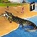 Crocodile Attack 2020