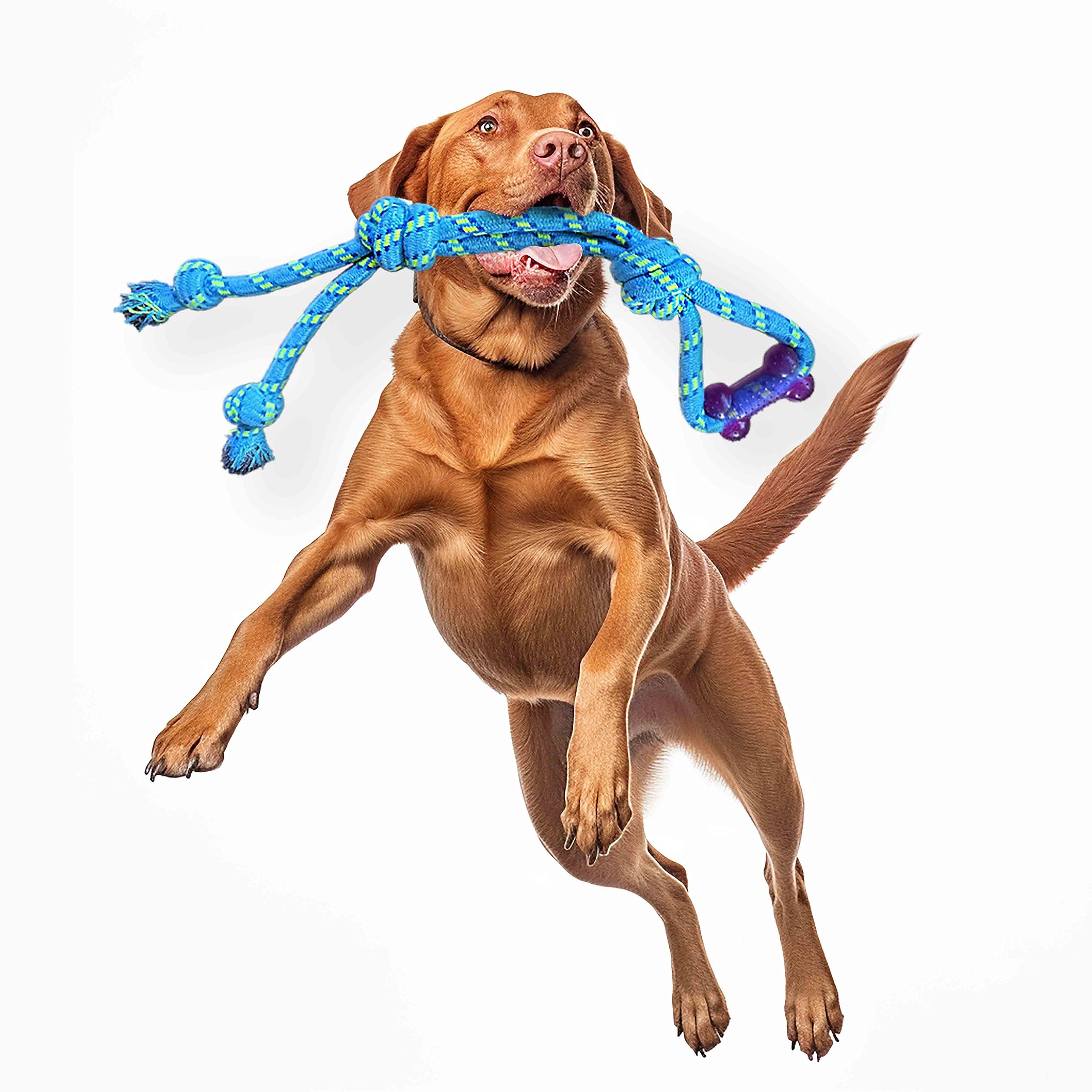 Ruff Tug - Floss Chew Rope Tug โ Premium Toy for Dogs โ Interactive (Medium Size Dog)