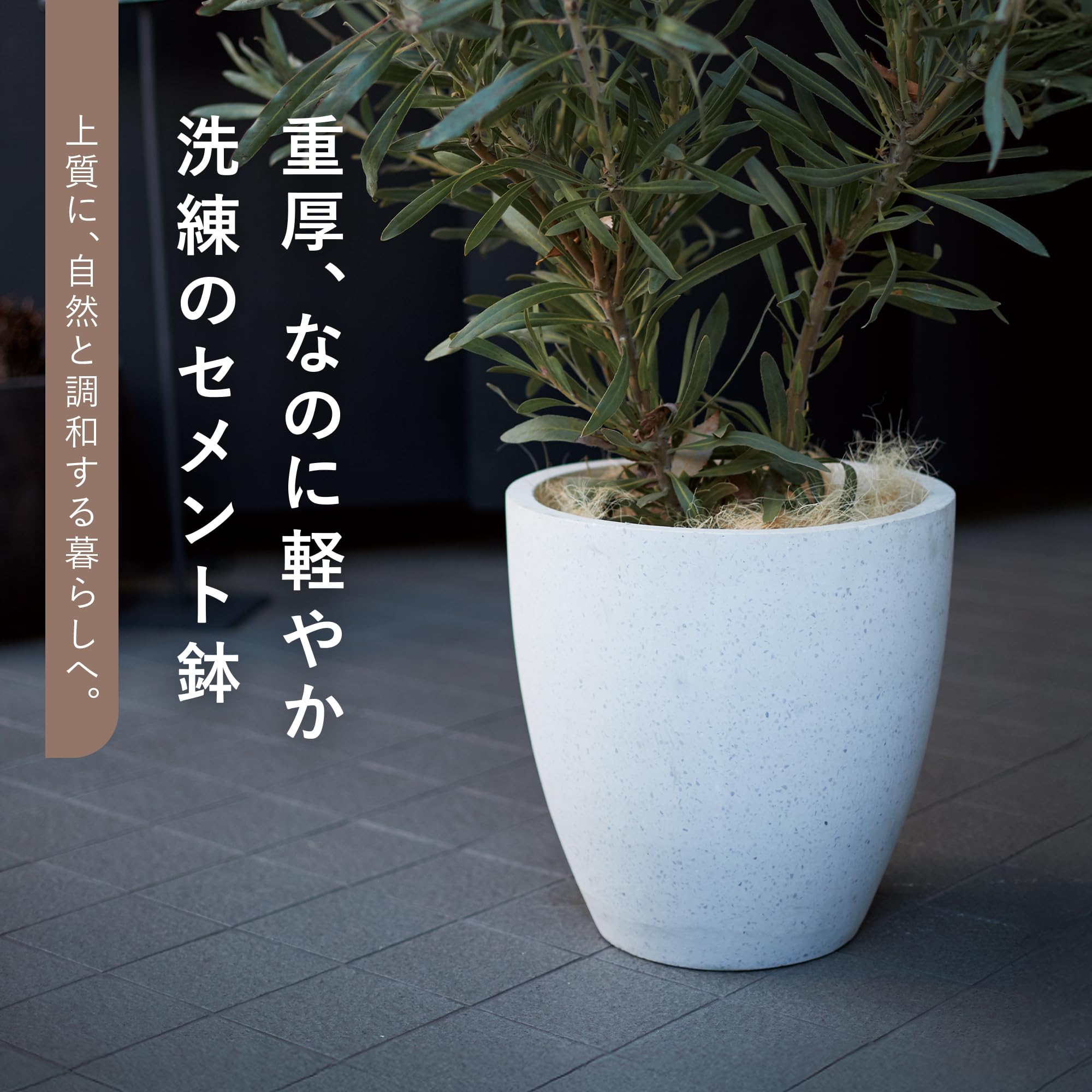 Amazon | 植木鉢 大型 コルテス ラウンド S 30 グレーテラゾ | 鉢