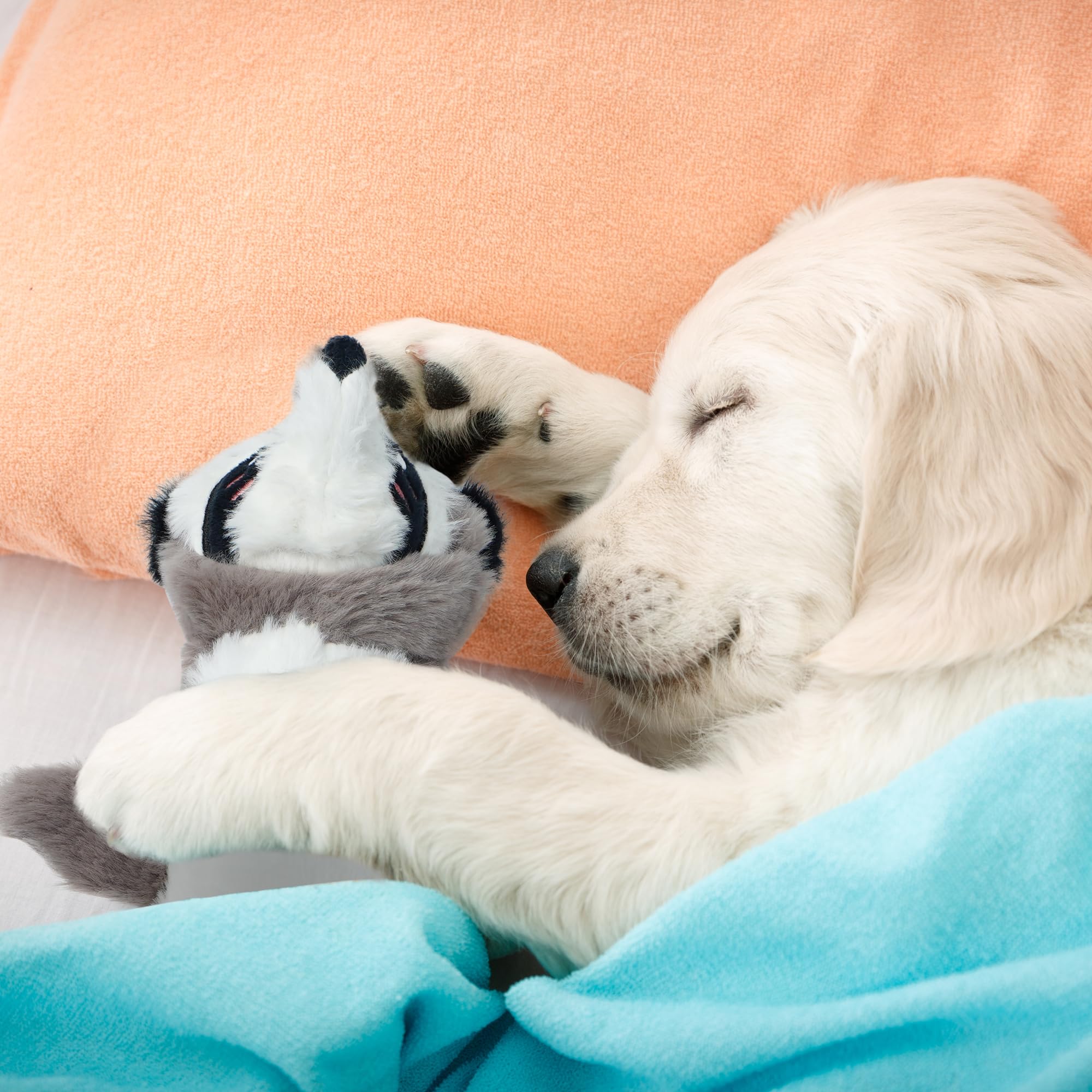 Nocciola Jouet Chien Indestructible avec Compartiment Bouteille Intégré | Jouet Interactif Tir à la Corde Sans Rembourrage, Jouet Chien avec Couineurs pour Petits Moyen Grands Chiens(52-83cm)
