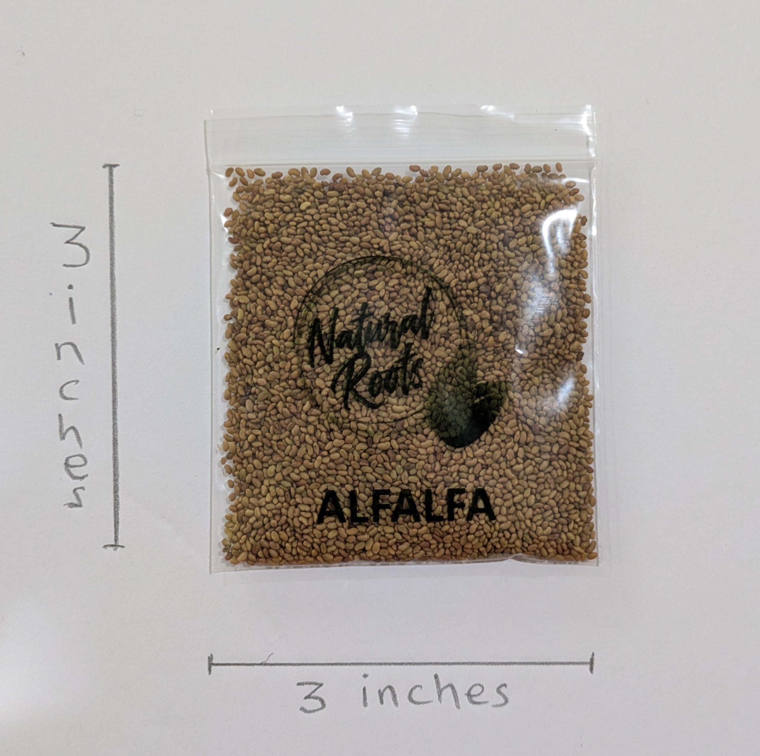 Paquete variado de semillas de brotes de brócoli, alfalfa, rábano, frijoles mungo y mezcla de ensalada para brotes y microvegetales. Sin OMG. Paquete de 10 semillas premedidas para tarros o bandejas