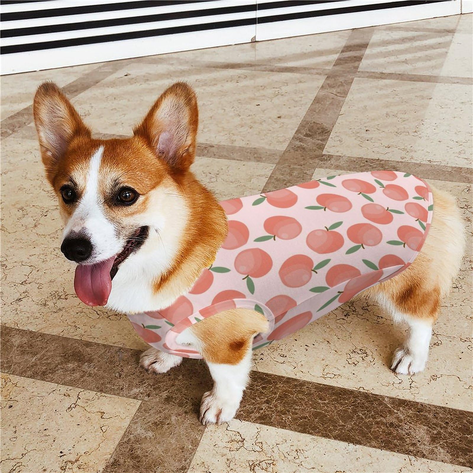 犬服　もも Amazon.co.jp: 桃柄 ピンク ペット服 犬服 春夏秋 Tシャツ 袖なし 犬の