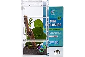 Jumping Spider Enclosure: A Secure Oasis for Arboreal Arachnids