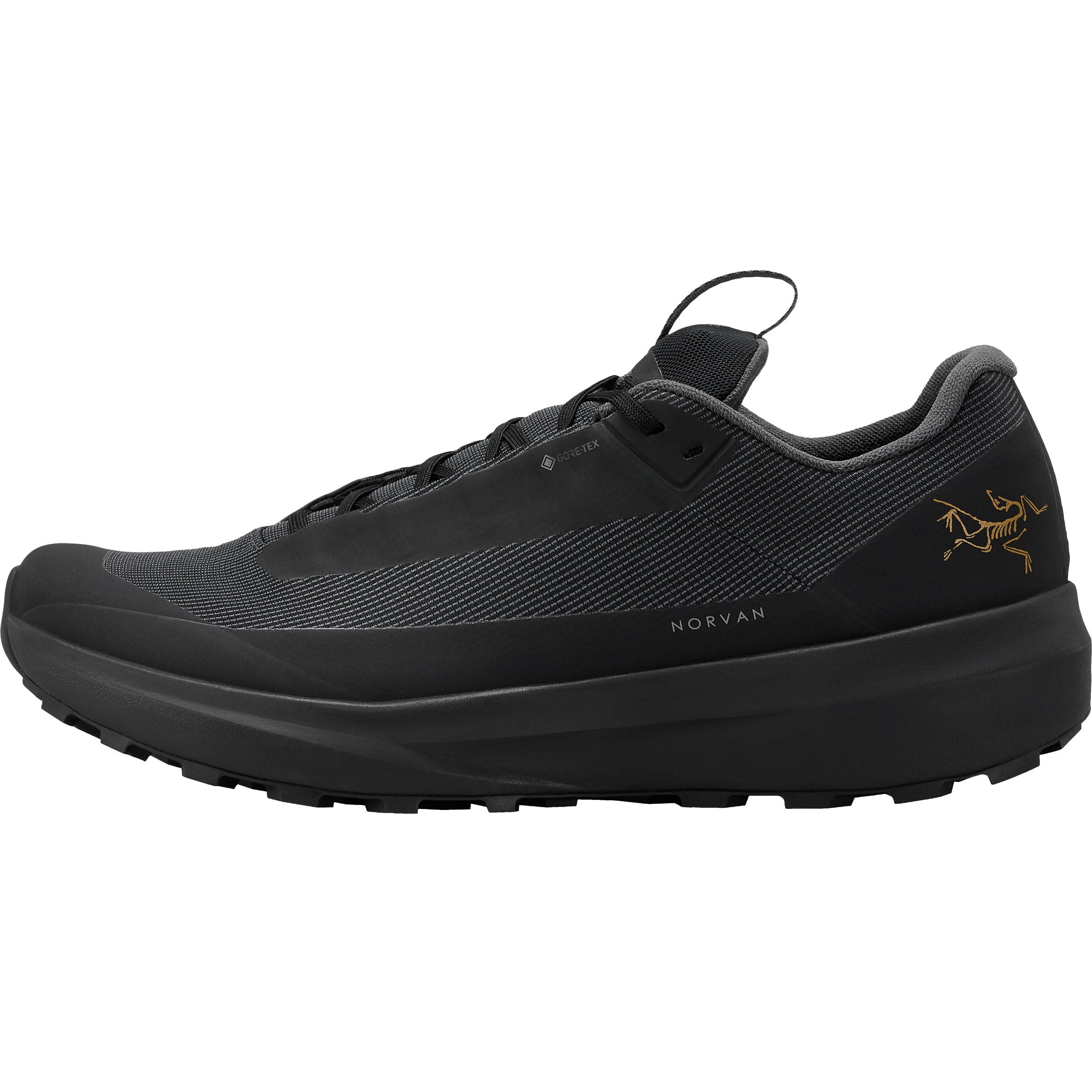 Arc'teryx Women's Norvan LD 4 GTX Hiking Shoe, Black/Black, 5.5
