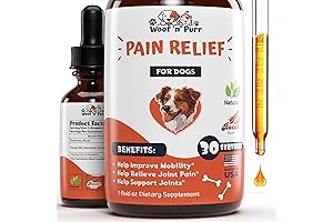 Natural Pain Relief for Dogs