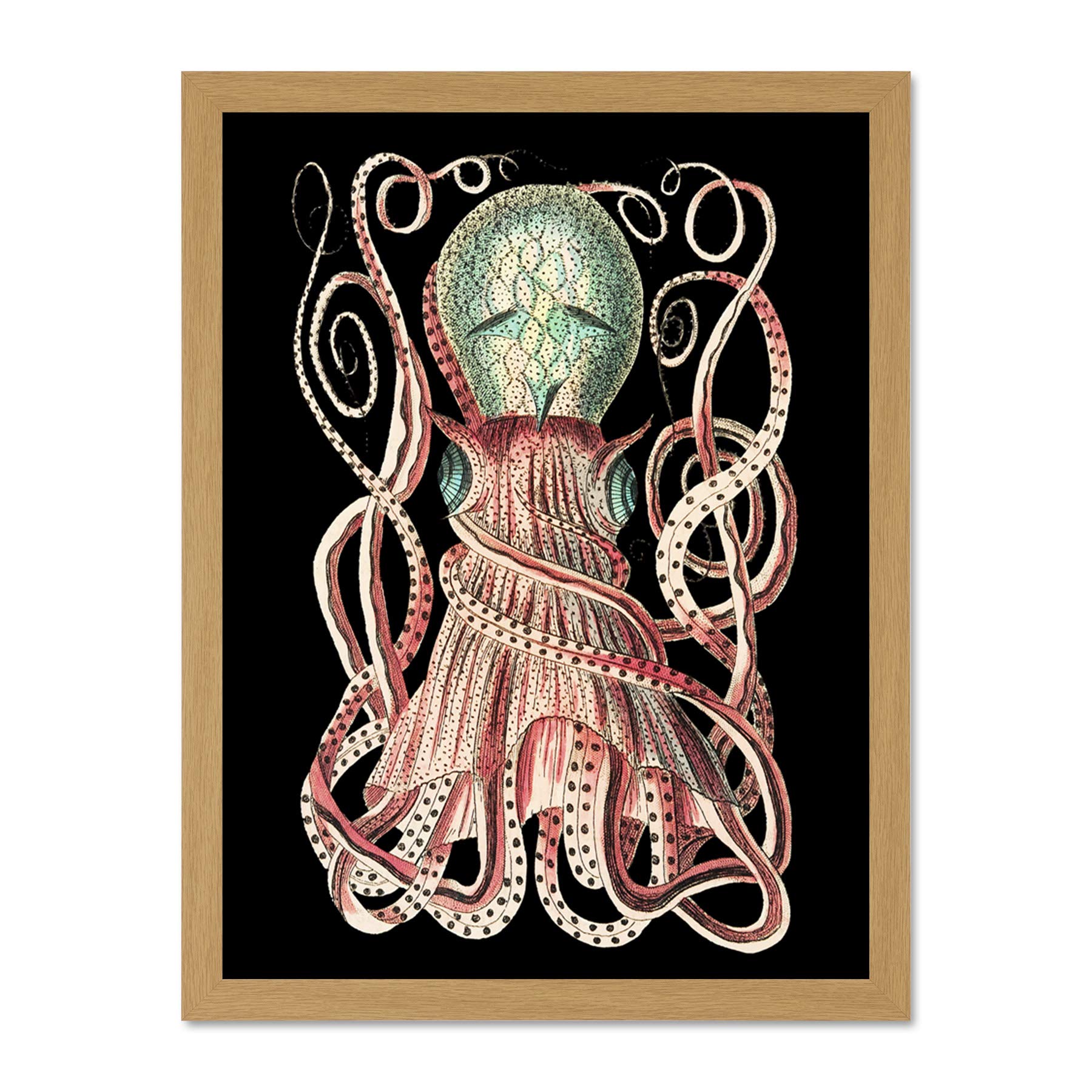 Wee Blue Coo Granulated Cuttle Octopus Black Large Framed Art Print Wall Poster 18x24 inch