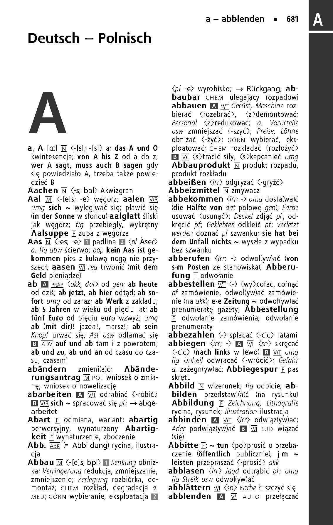 Langenscheidt Taschenwörterbuch Polnisch: Polnisch - Deutsch / Deutsch - Polnisch mit Online-Wörterbuch und 125. Stichwörtern