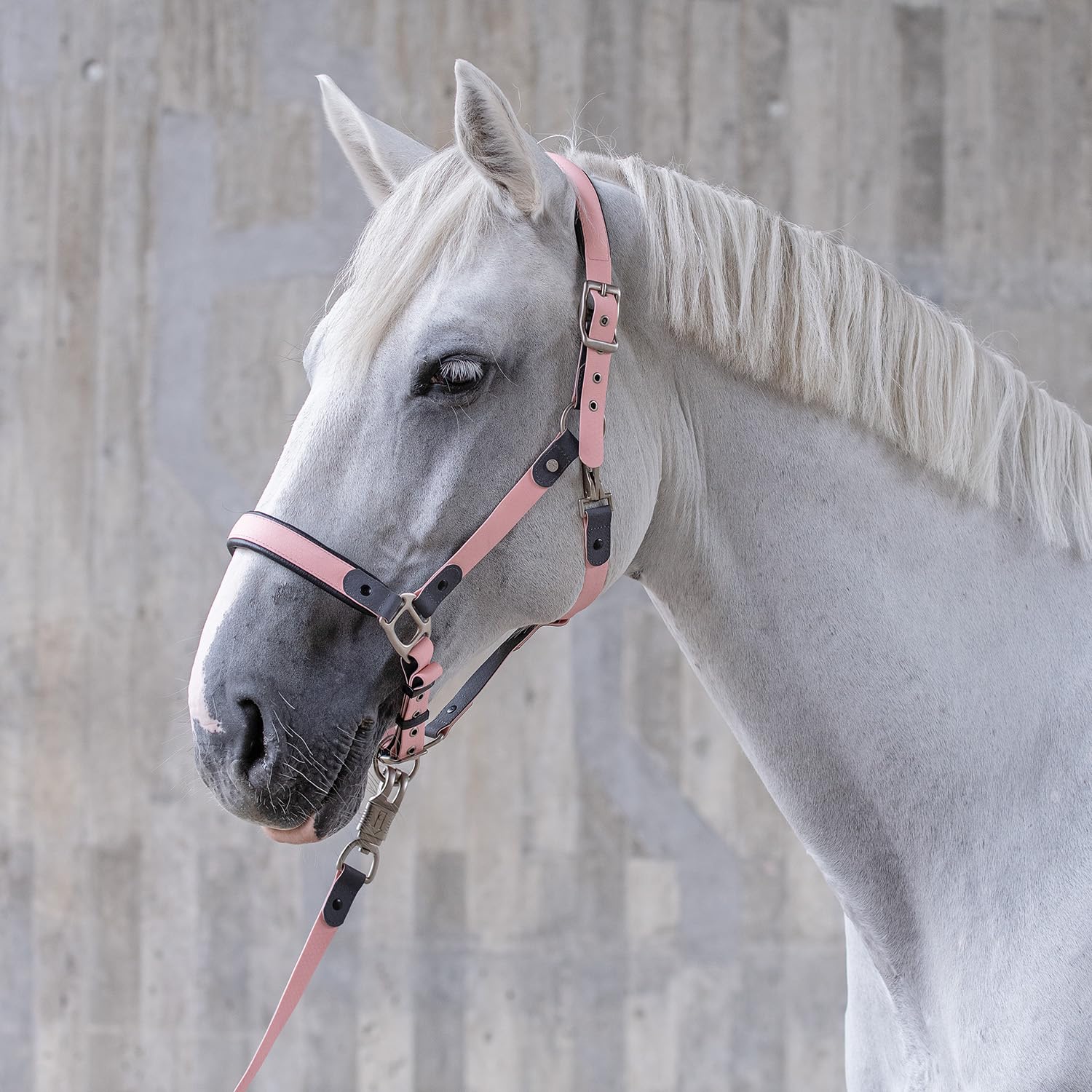SUNRIDE Biothane Halfter für Pferde - mit Strick - UV-Beständig - anatomisch, verstellbar - extra Polsterung - Nachhaltig & Vegan - antibakteriell - wasserabweisend - rostfrei (rosa, Pony)