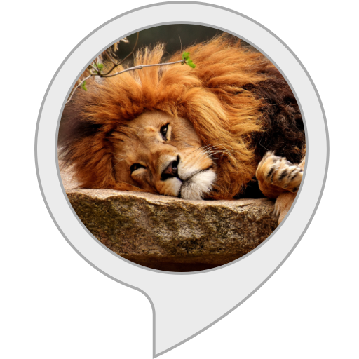 Deep Sleep Music Alexa Skills