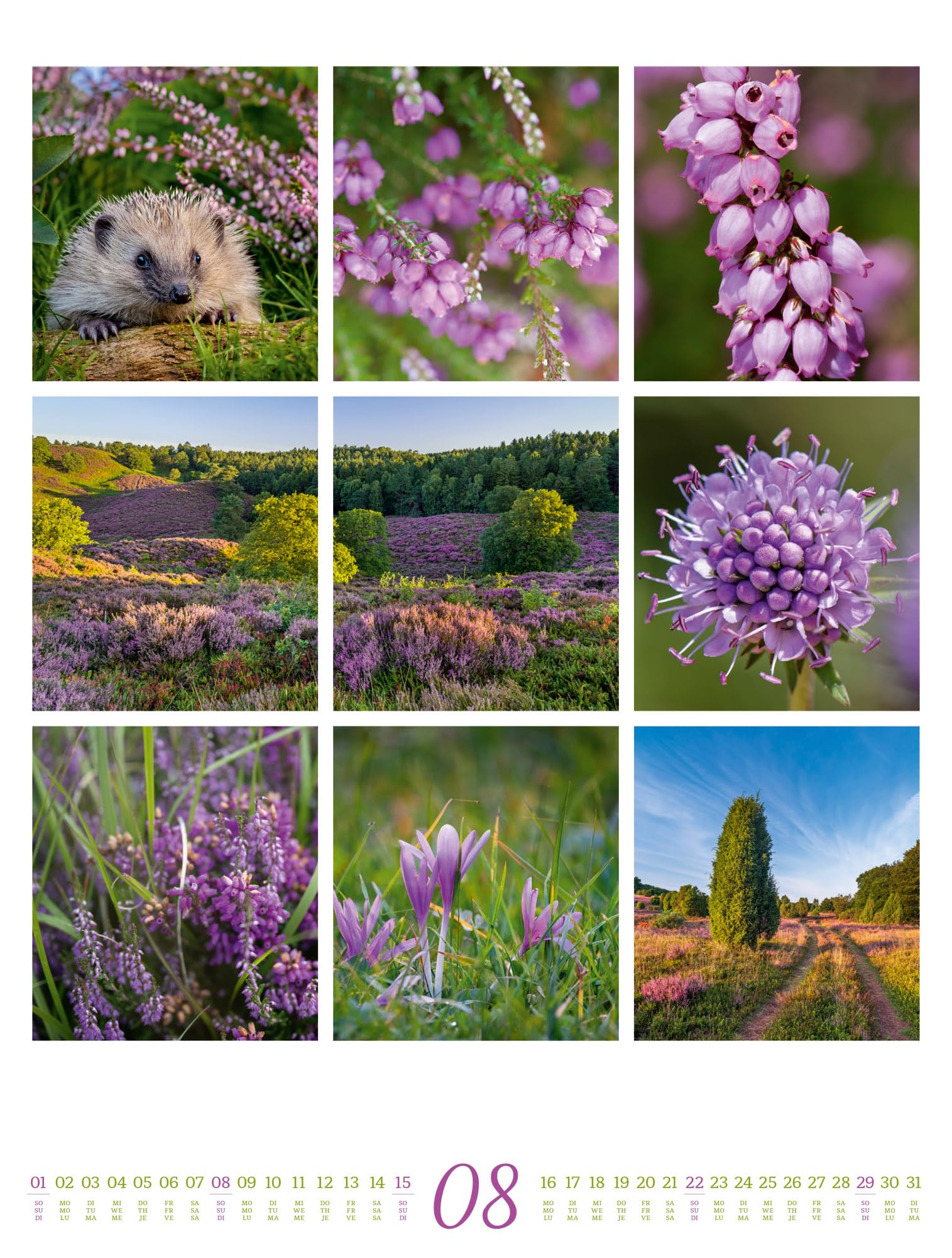 Inspiration Natur Kalender 2027: Vielfältiger Natur-Kalender im großen Hochformat (50x66 cm) | Mehrteilige Bildmosaike im Triplet-Stil
