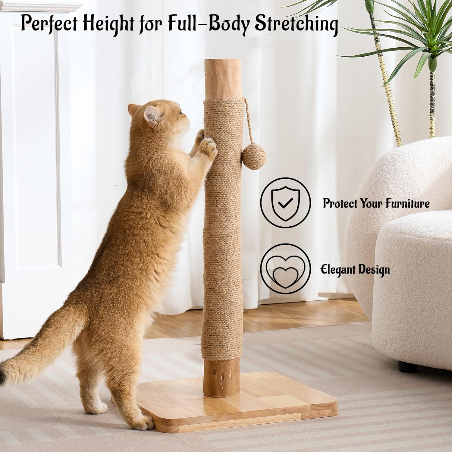 29" Tall Cat Scratching Post for Indoor Cats Adults, Extra-Stable & Natural Solid Wood Scratching Post Sisal Scratcher with Hanging Funny Ball, Beige