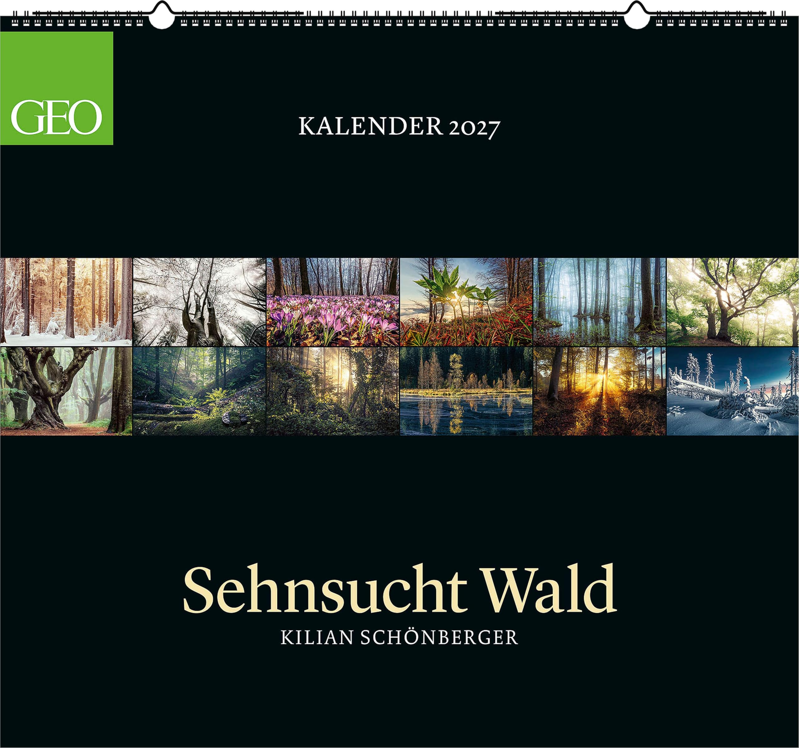 GEO Kalender: Sehnsucht Wald 2027: Wandkalender 60x55 cm mit 12 stimmungsvollen Waldfotografien, deutschem Kalendarium und Spiralbindung