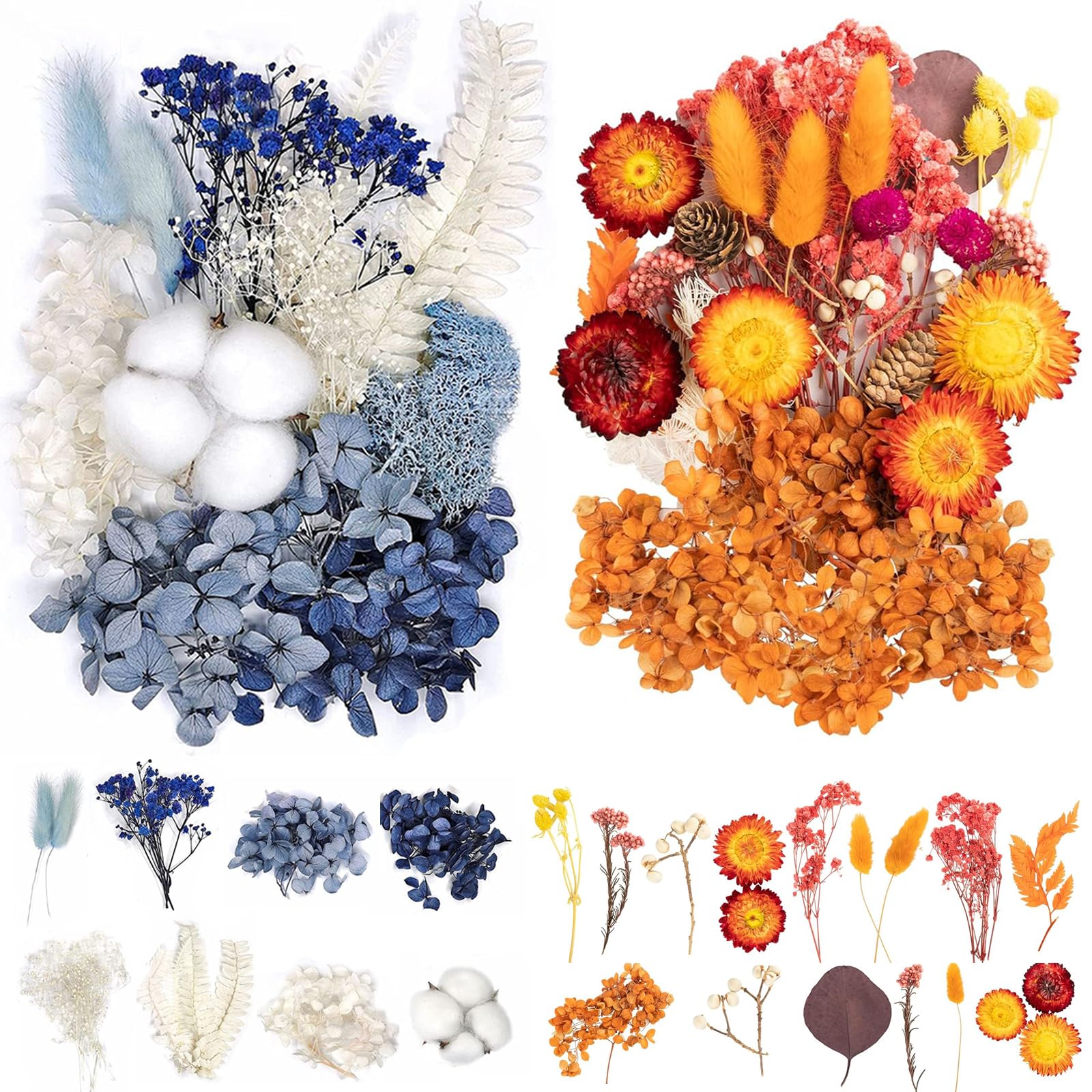 Gepresste Blumen, 22 Stück Trockenblumen Basteln Bunt Trockenblumen zum Basteln Klein Schön Pampasgras Klein für DIY Hochzeitsdeko Wohnkultur Scrapbooking Dekoration