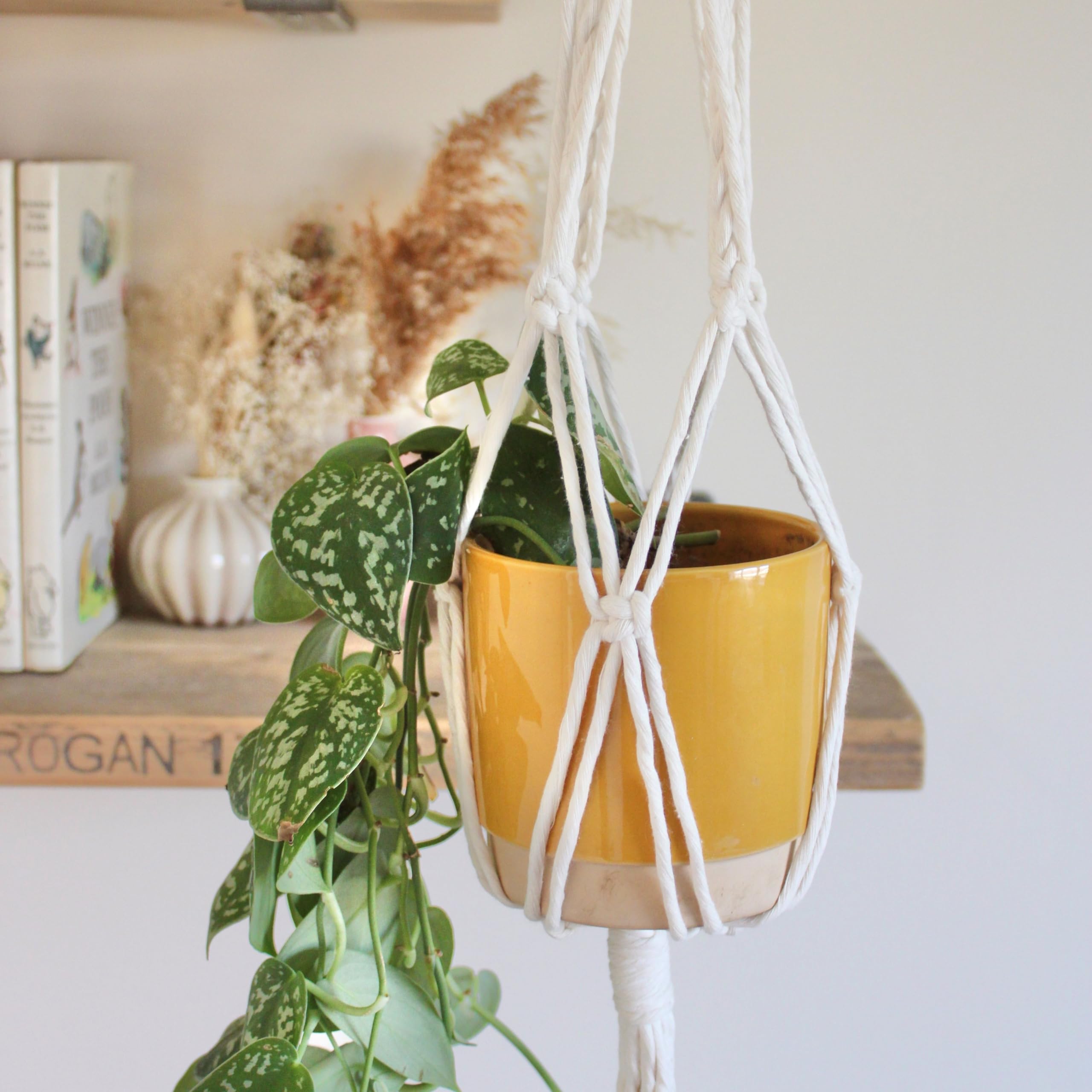 Piglet&Chestnut Natural Diy Macrame Plant Hanger Kit (Natural)