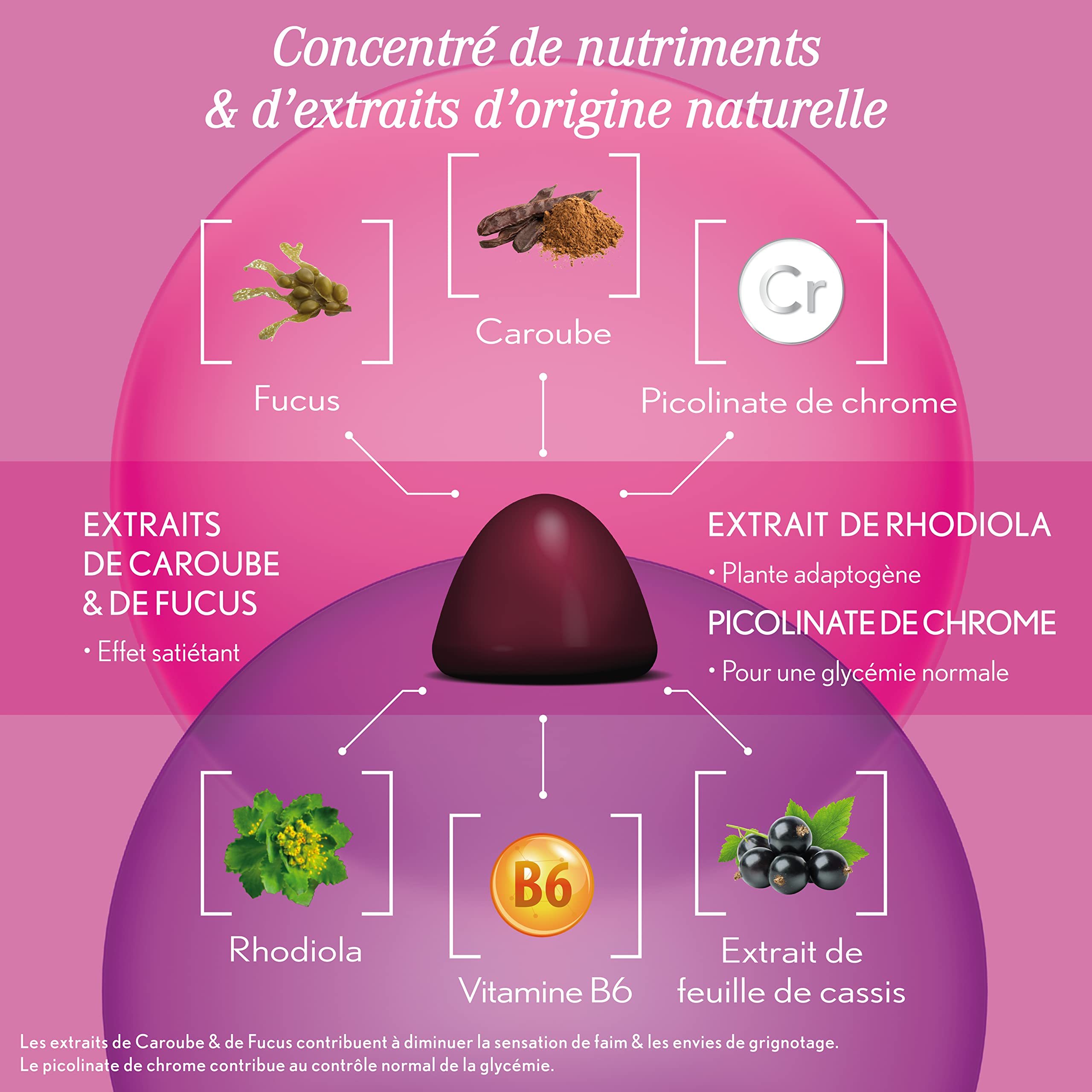 OENOBIOL-GUMMIES Minceur - Réduit les sensations de faim, limite les fringales - Programme 1 mois - 60 Gummies - Arôme naturel mûre cassis - Complément alimentaire - Sans Sucre - Vegan-Made in France