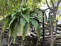 Review Image by Lyndon Lyndon