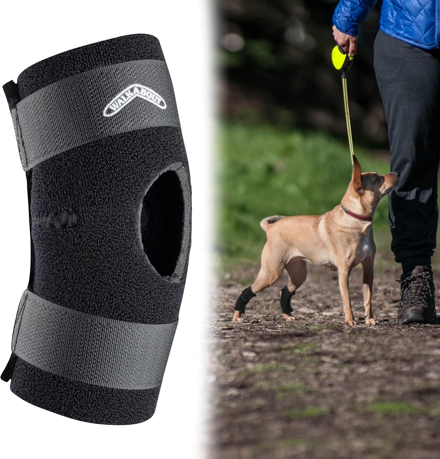 walkabout dog brace