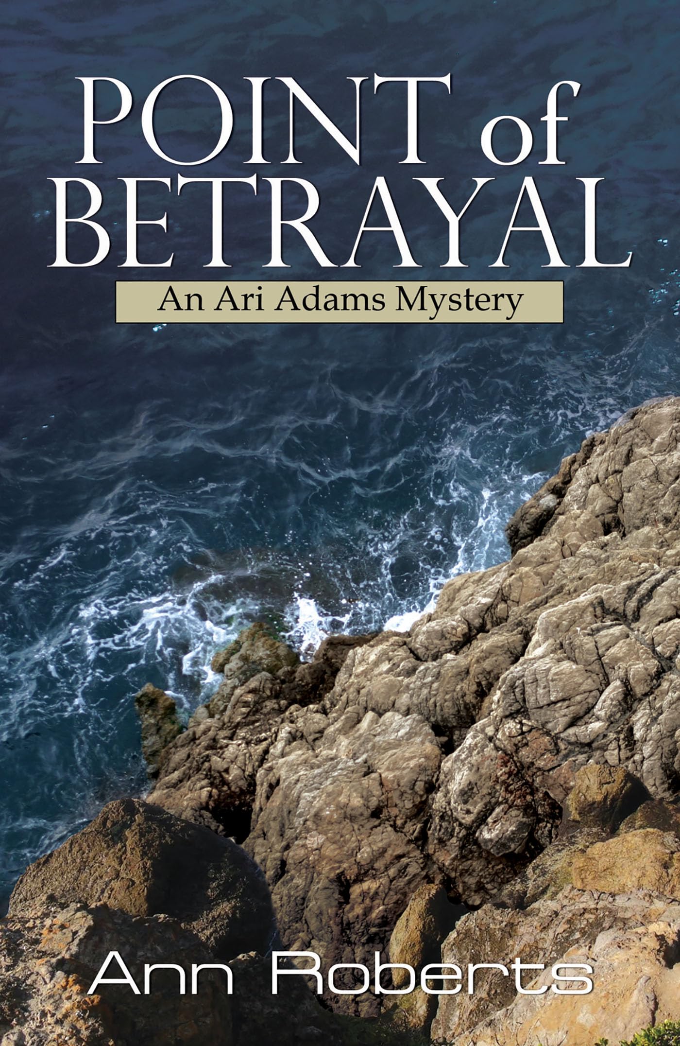 Buy Point of Betrayal: 4 (Ari Adams Mystery) — BookShops.in