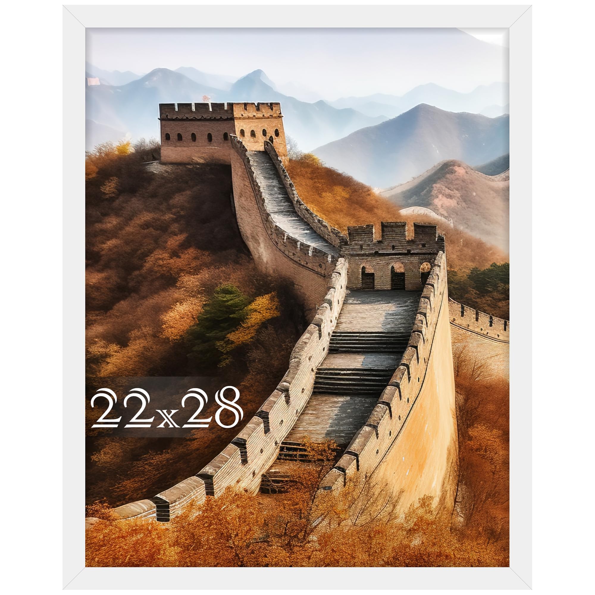Picrit 22x28 Poster Frame, Picture Frame for Wall Mounting Diaplay, White