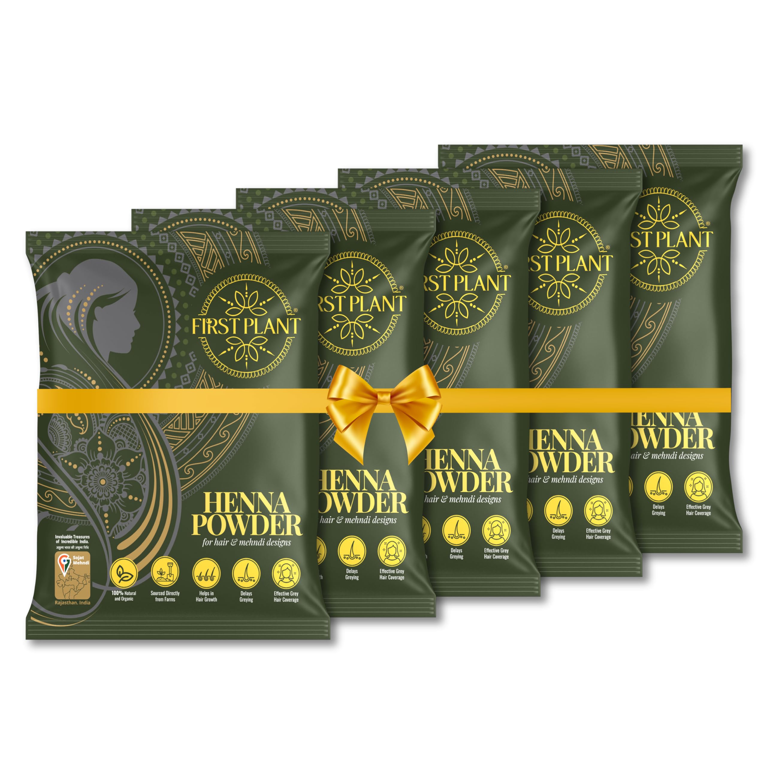 FIRST PLANT - Premium Rajasthani HENNA POWDER, 100% ORGANIC Henna with GI Tag for Hair Colour and Hair Care (Pack of 5 x 200g)-picture-24