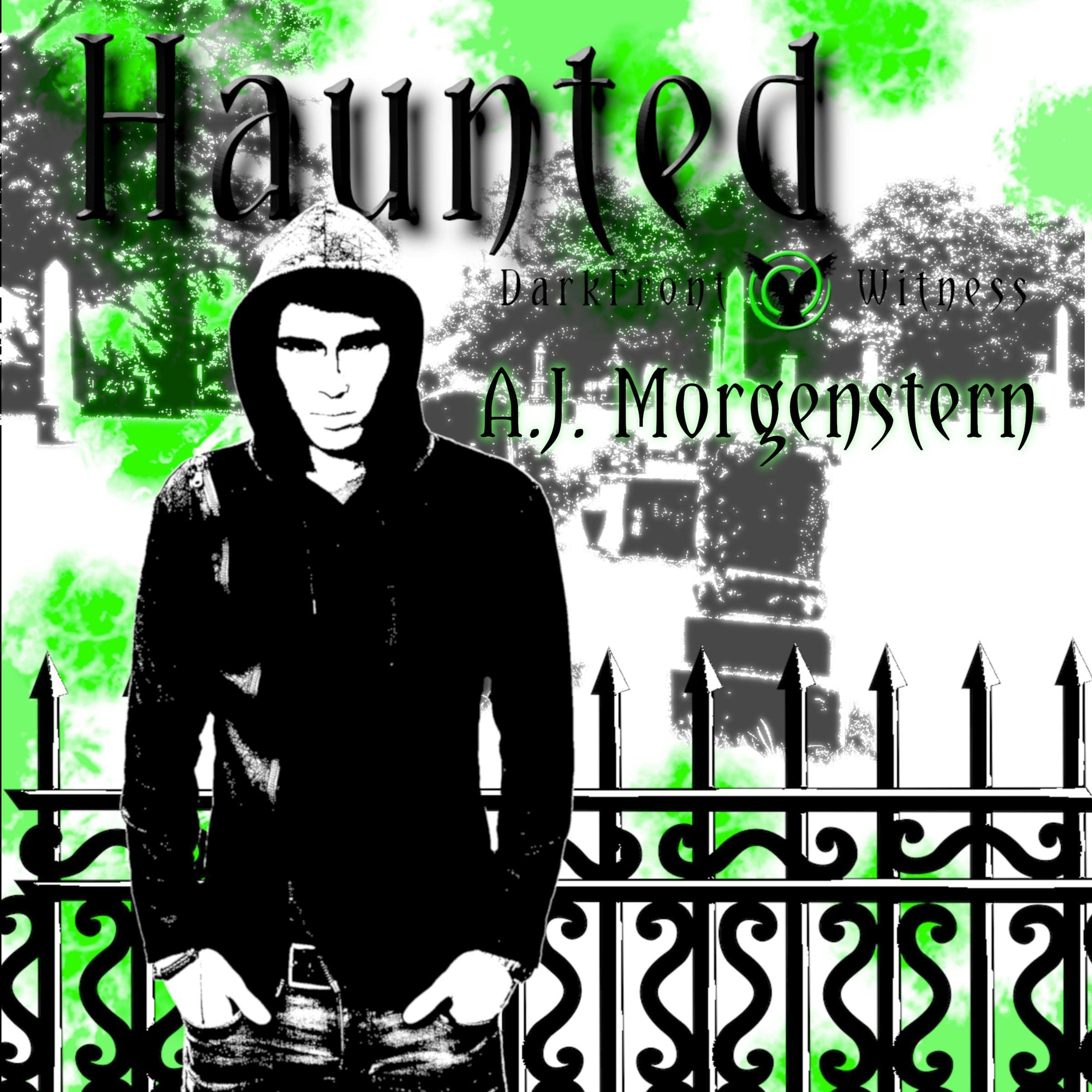 Cover art for Haunted: DarkFront Witness, Book 1