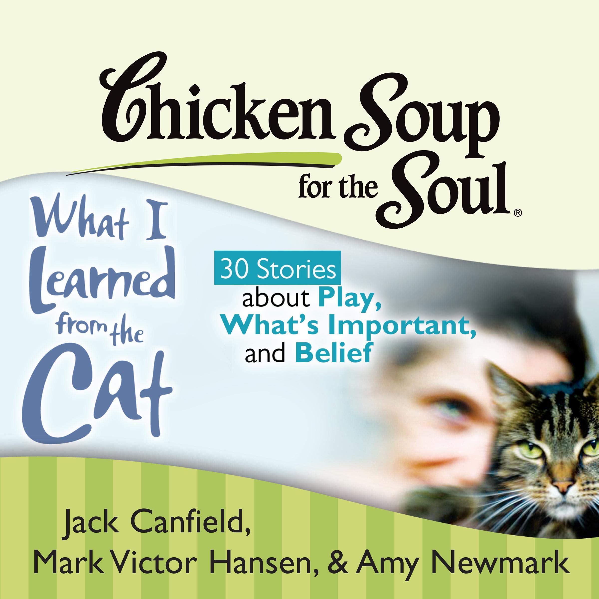 Cover art for Chicken Soup for the Soul: What I Learned from the Cat - 30 Stories about Play, What's Important, and Belief