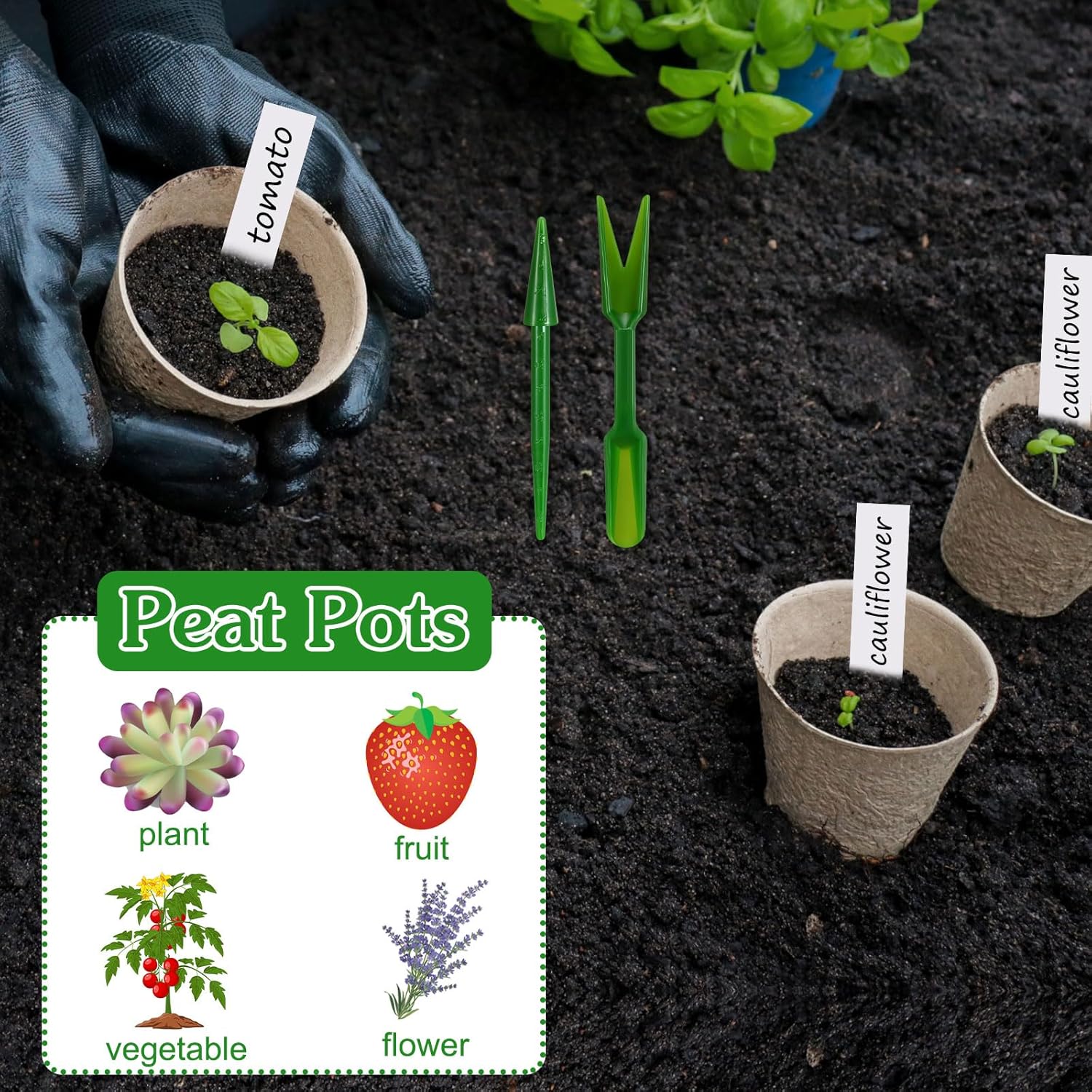 Layhit 1000 Pack 3.15 Inch Peat Pots Plant Starters Kit Seedling Start Trays Germination Nursery Pots for Seedling with 1000 Pcs Plant Labels, 10 Transplant Tool (Round)