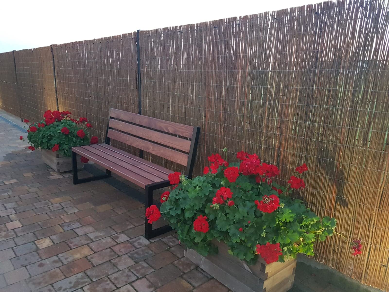 H4L Canisse en osier - Brise-vue pour clôture et balcon - Protection contre le vent - Canisse de protection 110 cm x 5 m