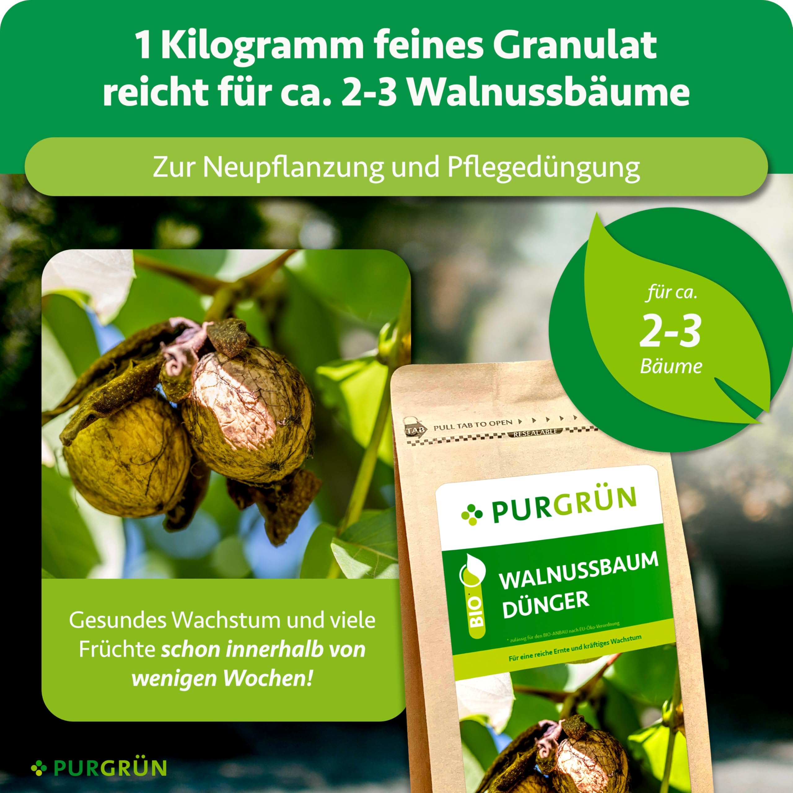 Bio-Walnussbaum-Dünger 1 kg – Organisch-mineralische Rezeptur – Feinkörniges Krümelgranulat – NPK 6+2+7 – Mit Magnesium für aromatische Nüsse – Verbessert die Bodenqualität