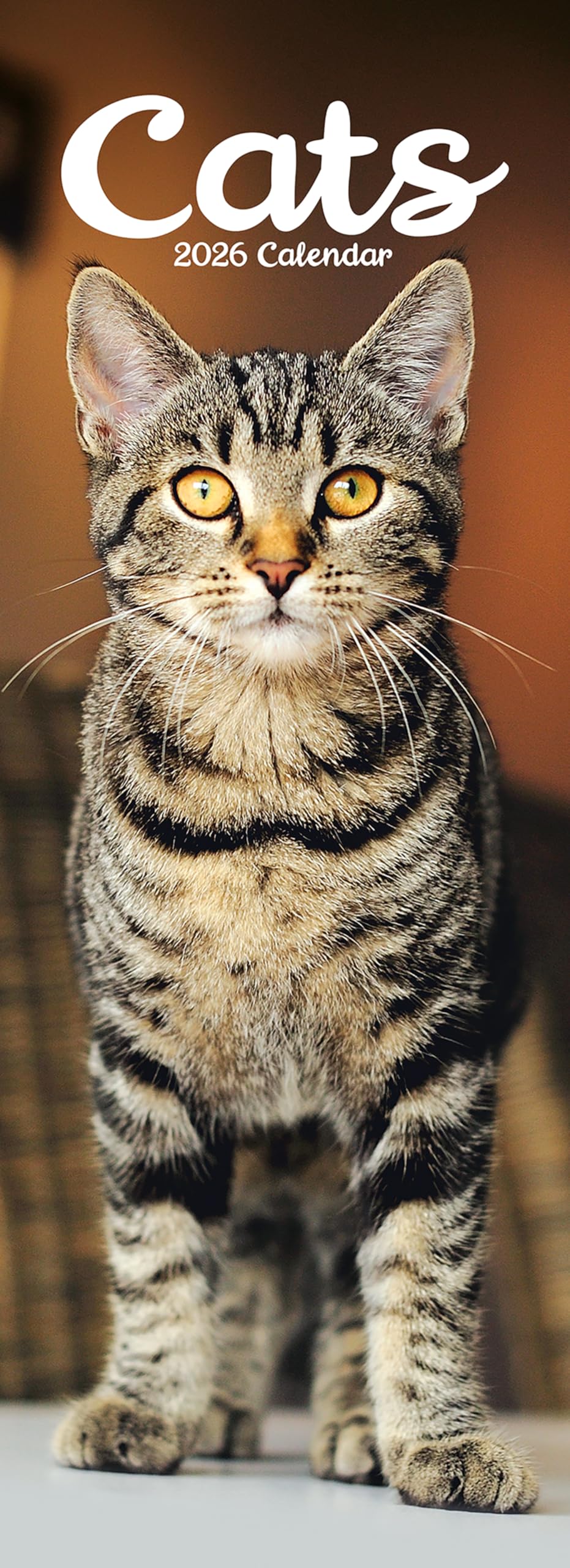 Cats Slim 2026 Calendar | Slimline Gift 20% OFF MULTI ORDERS