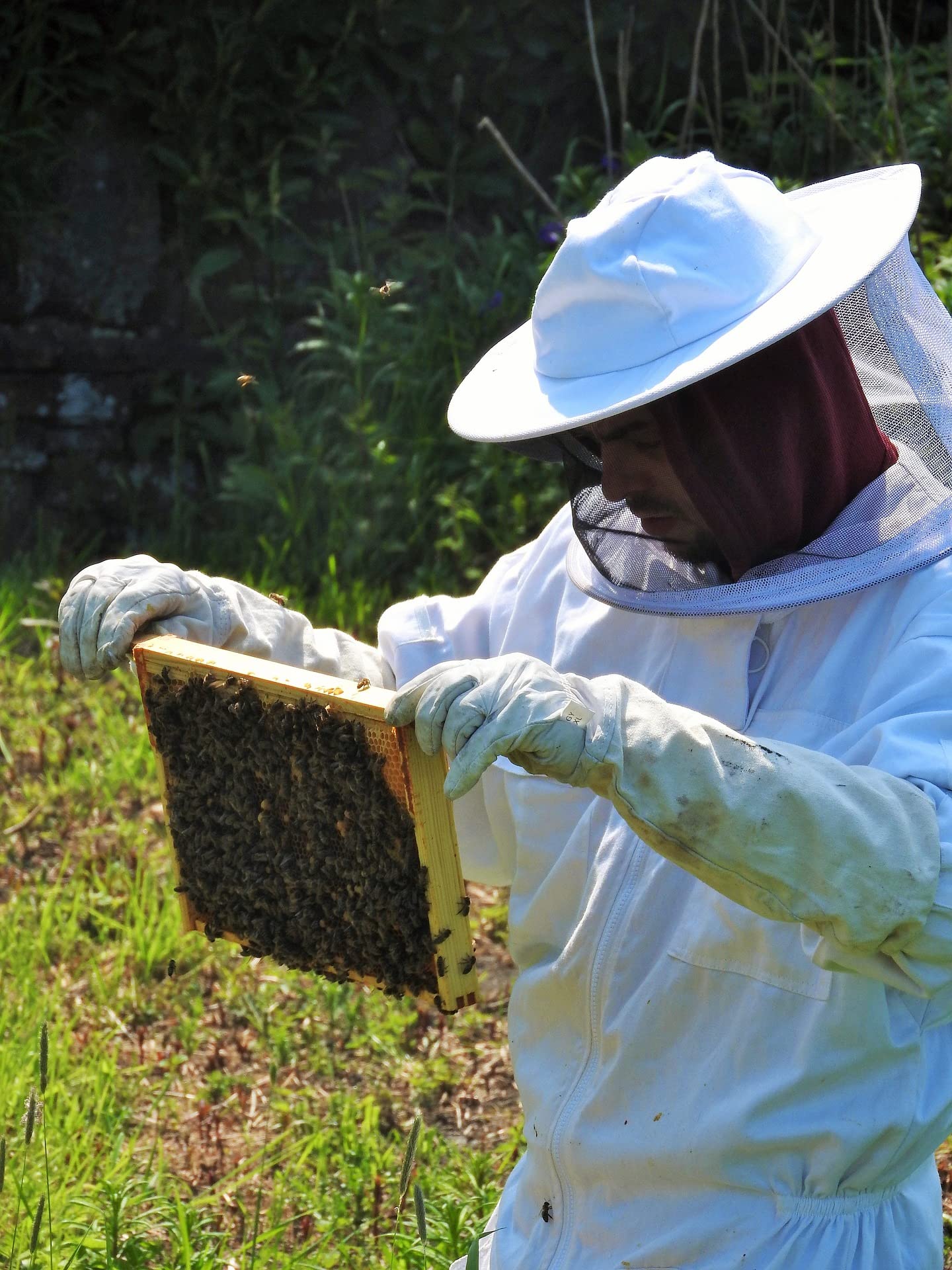60 velas de té de 100 velas de cera de abejas hechas a mano directamente por el apicultor, paquete de ahorro de relleno, difunde un aroma intenso y agradable de cera de abeja y emite un