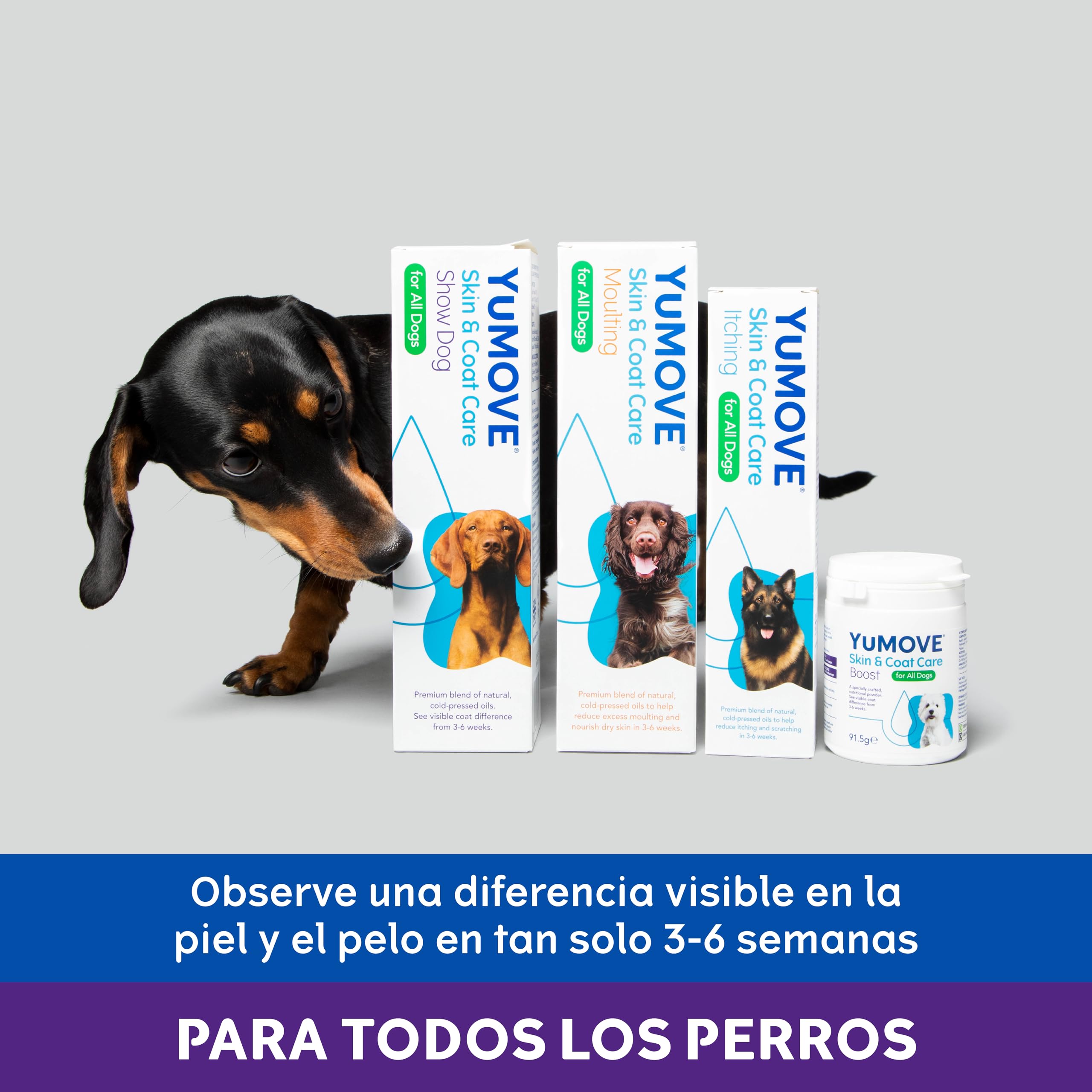 Yumove Piel Y Pelaje para Perros, 180 Dosis Uñas & Cuidado Cutáneo Diario | Zinc, Biotina, Vitaminas A Y C, Favorece Una Piel Y Un Pelaje Saludables, Espolvorear Sobre La Comida, Ingredientes Naturales