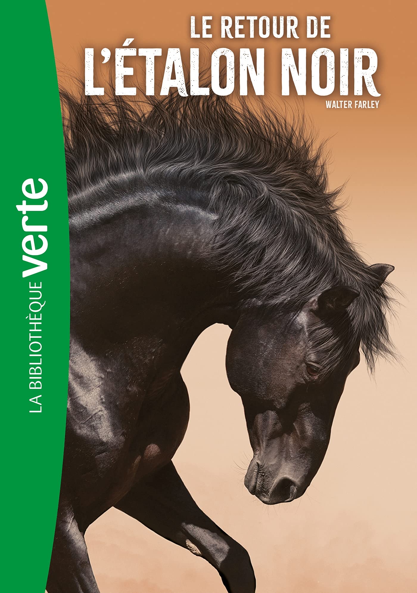 L'etalon noir 02 ned - le retour de l'etalon noir