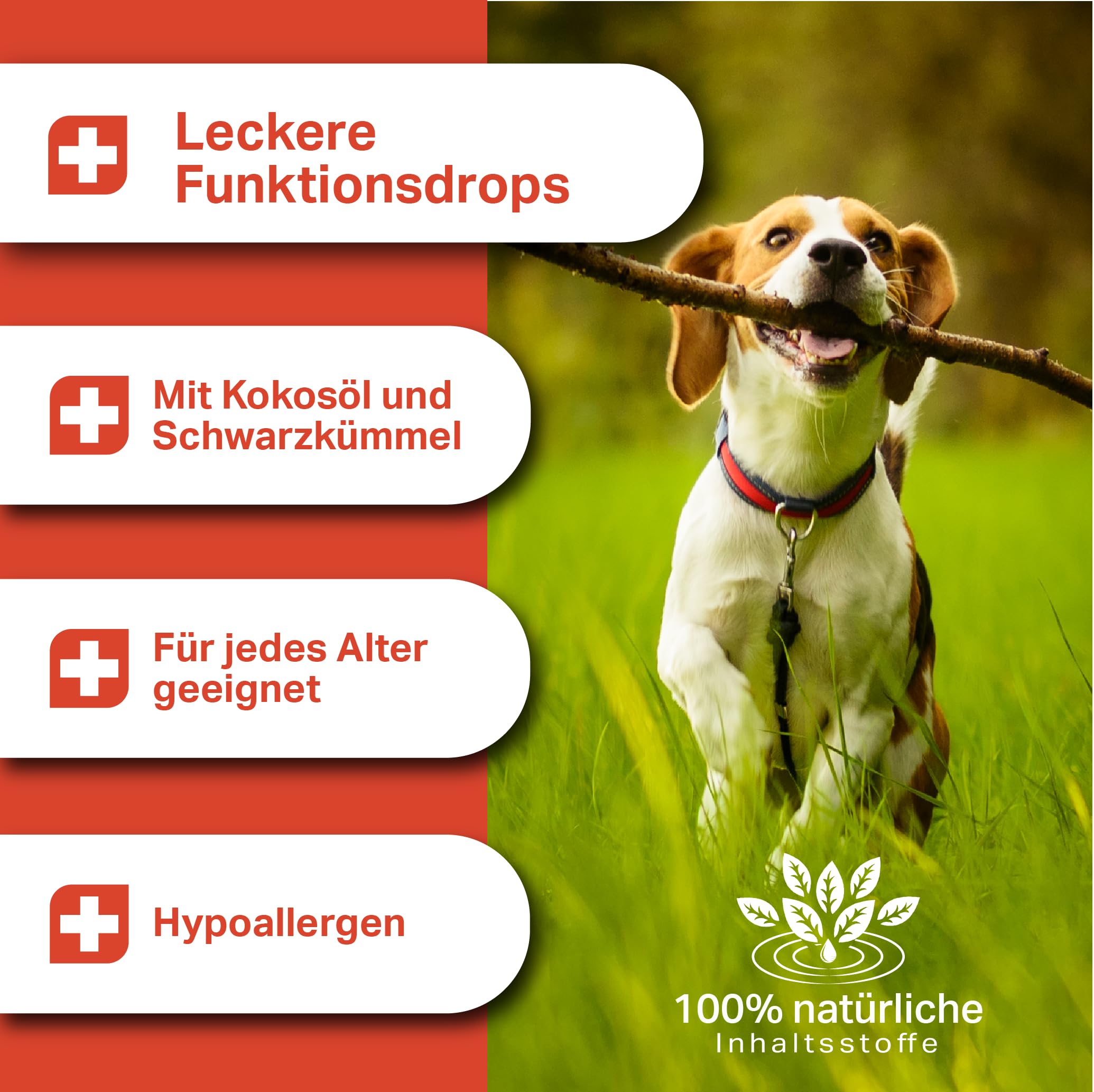 MEDIDOG Zeggi Weggi Premium Drops für Hunde – 400 g – mit Schwarzkümmelöl, Zistrose, Kokosöl, Lammprotein – Hypoallergen – Ideal für die Saison
