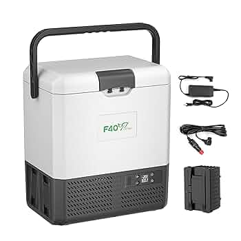 Amazon.co.jp: F40C4TMP 車載冷蔵庫 15L ポータブル冷蔵庫 【1つ