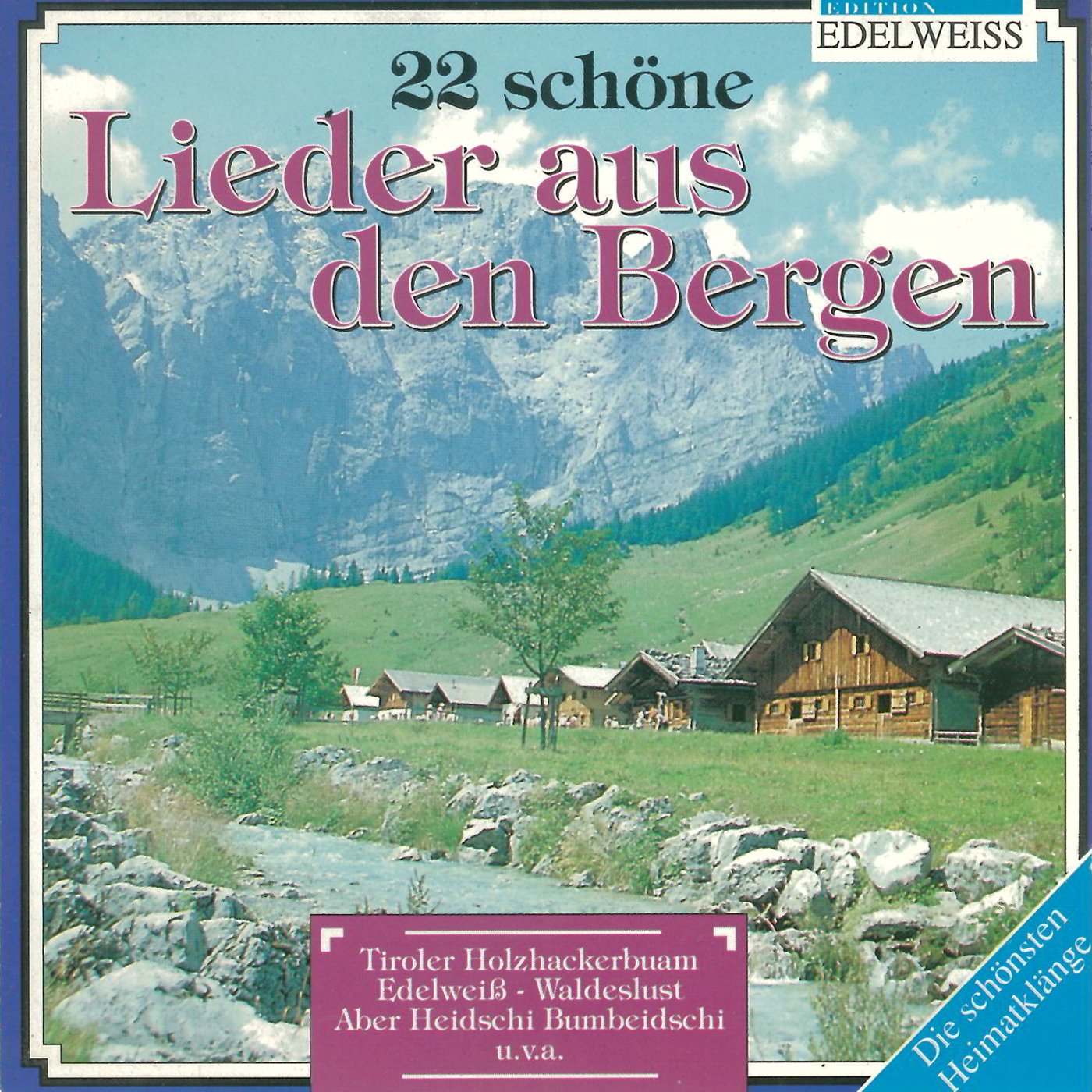 Die Tiroler Blasmusikanten