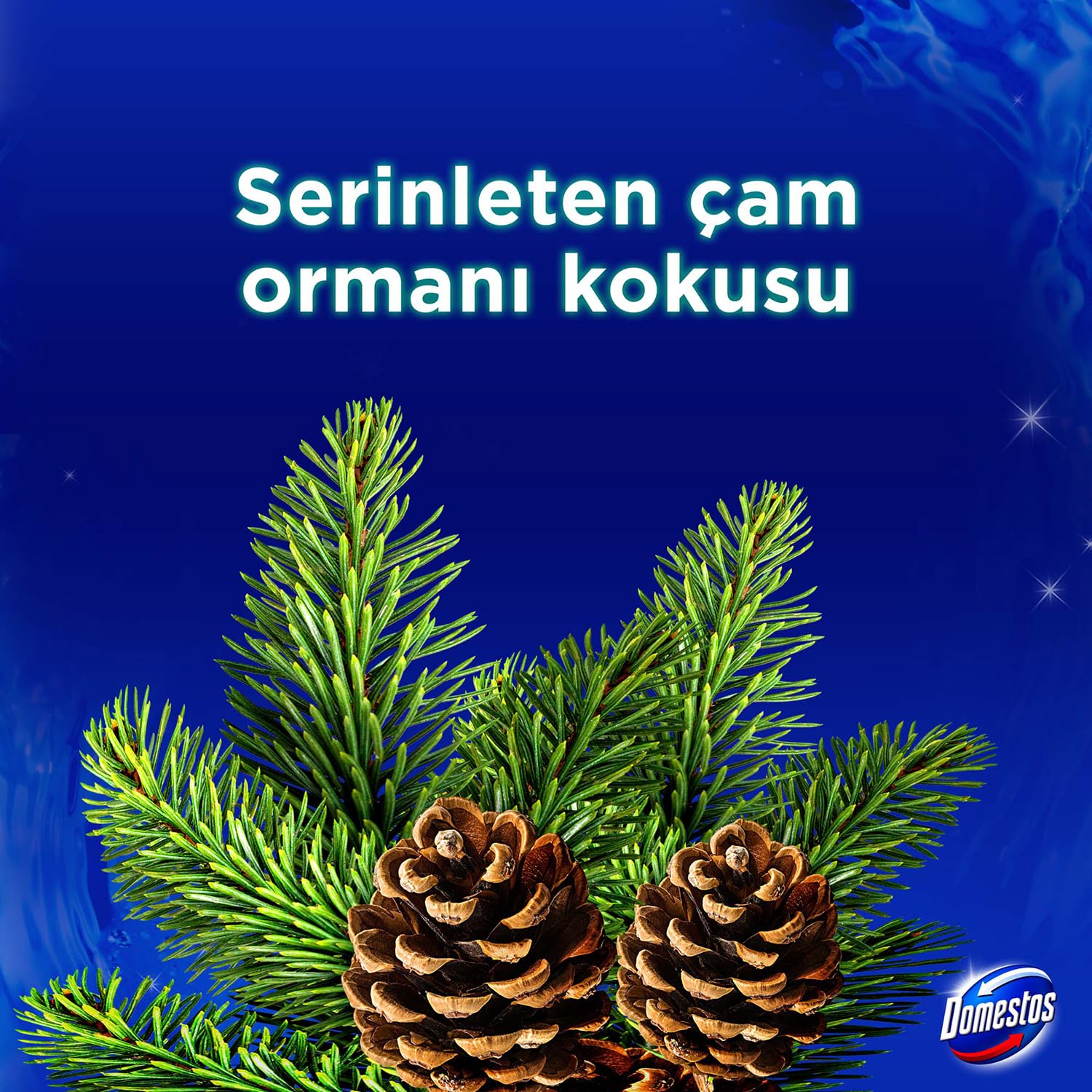 Domestos WC Blok 5'li Güç Tuvalet Bloğu Çam Ferahlığı Maksimum Hijyen 50 G