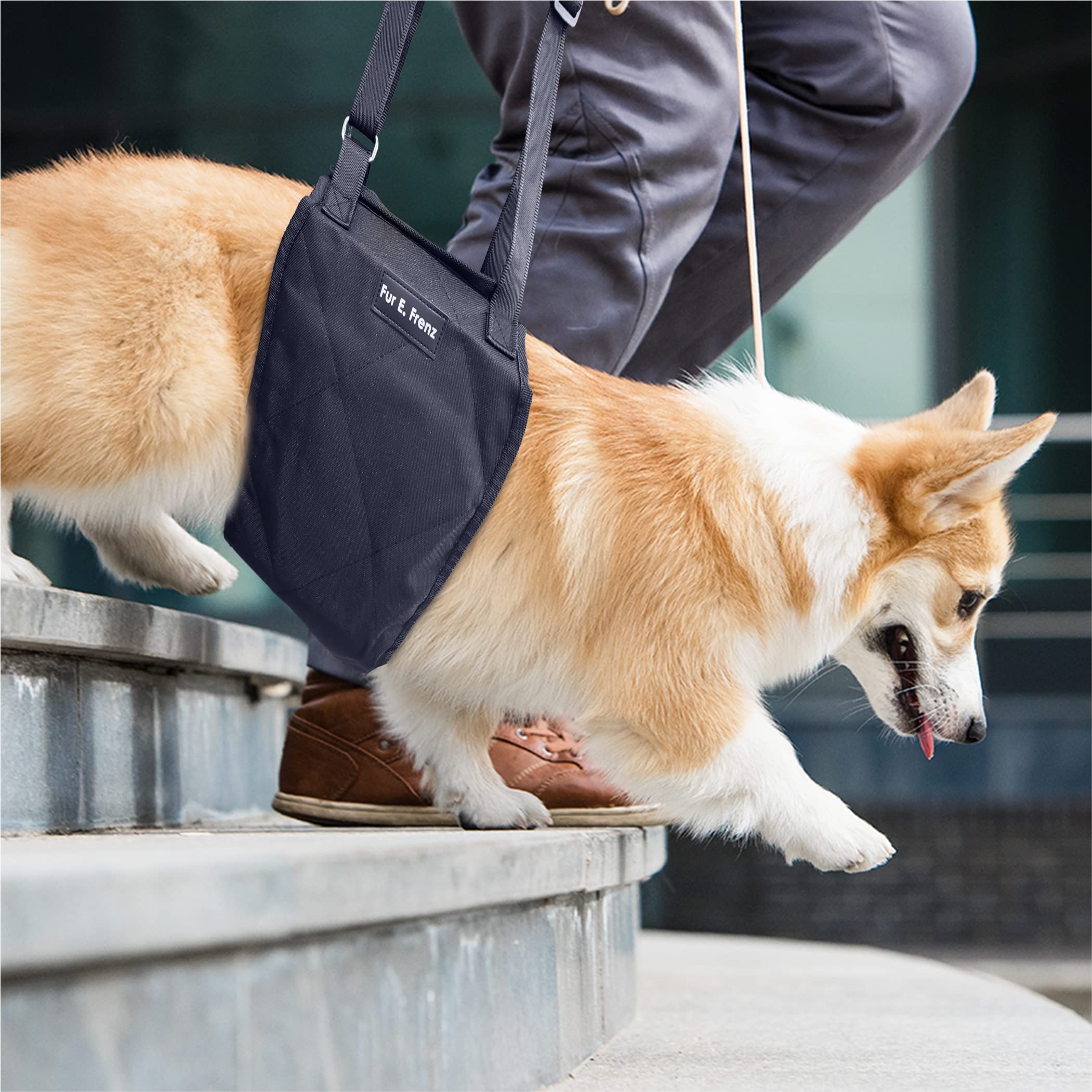 Dog Lift Harness Sling Acl Brace For Rear Leg Support Of Xl Old Dogs