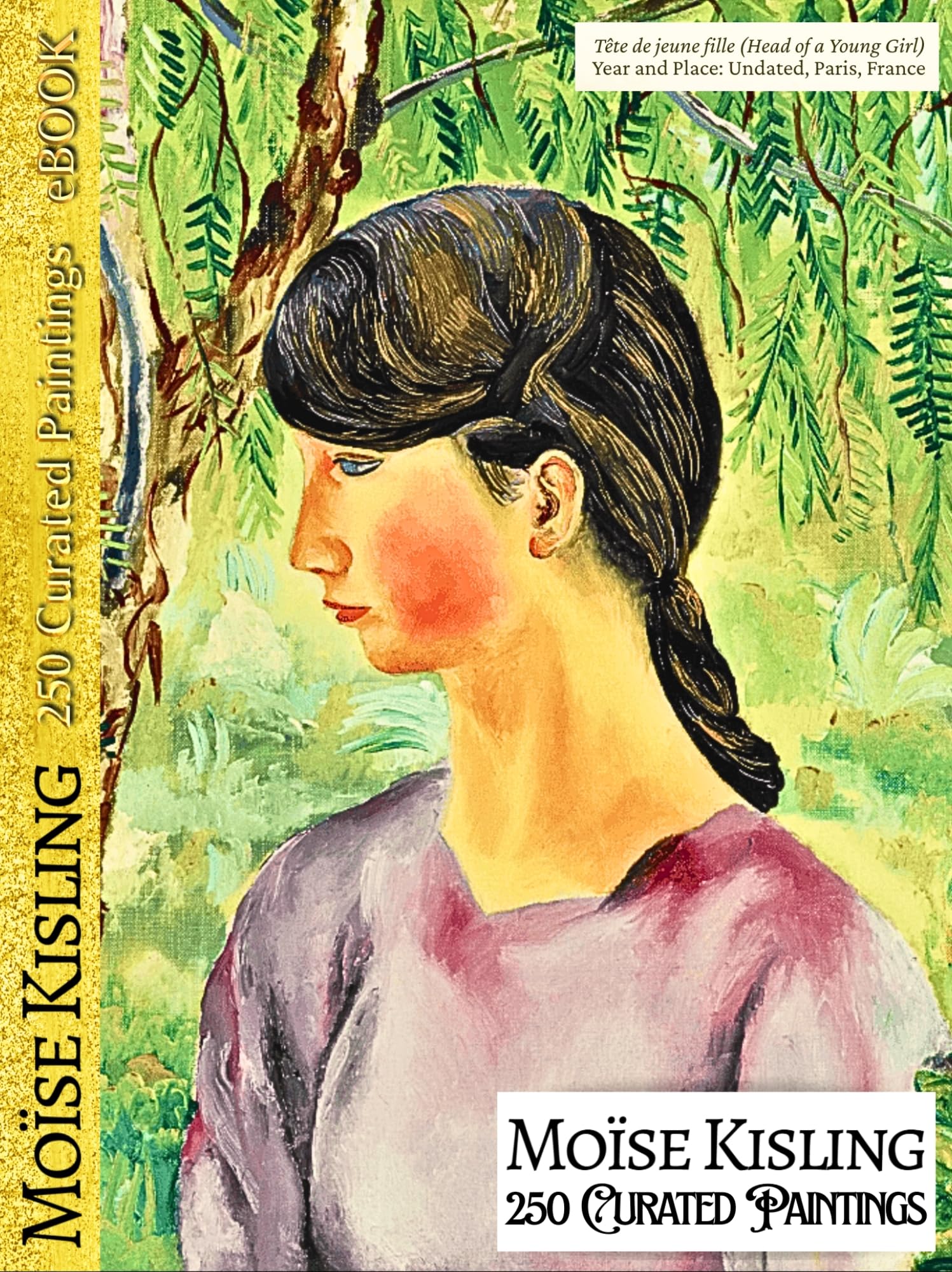 Moise Kisling cadeau idéal livre d'art virtuel de collection avec 250 peintures