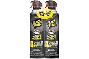 Black Flag Foaming Wasp And Hornet Twin Pack