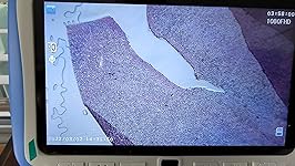 Review Image by AndySki AndySki