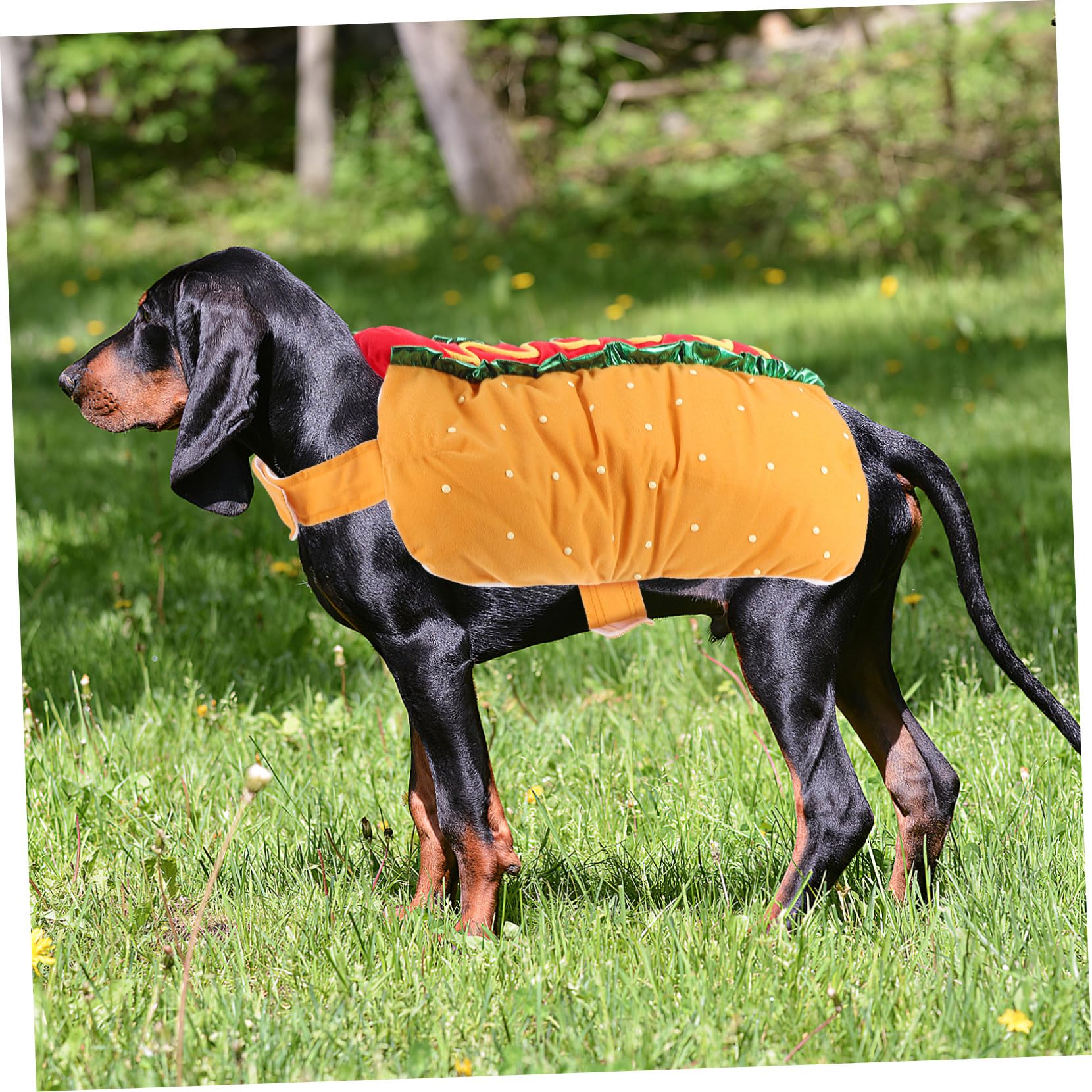 VICASKY Costume di Natale per Gatto e Cane Vestito di Carnevale in Poliestere a Tema Hot Dog Festivo