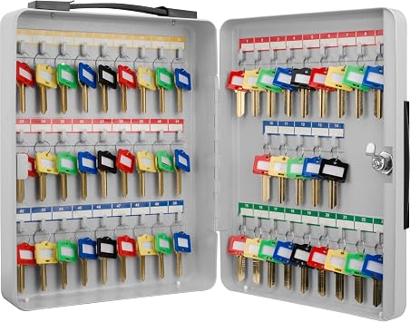 Barska CB12948 Key Lock 50 Position Portable Key Cabinet Lock Box Grey, One Size