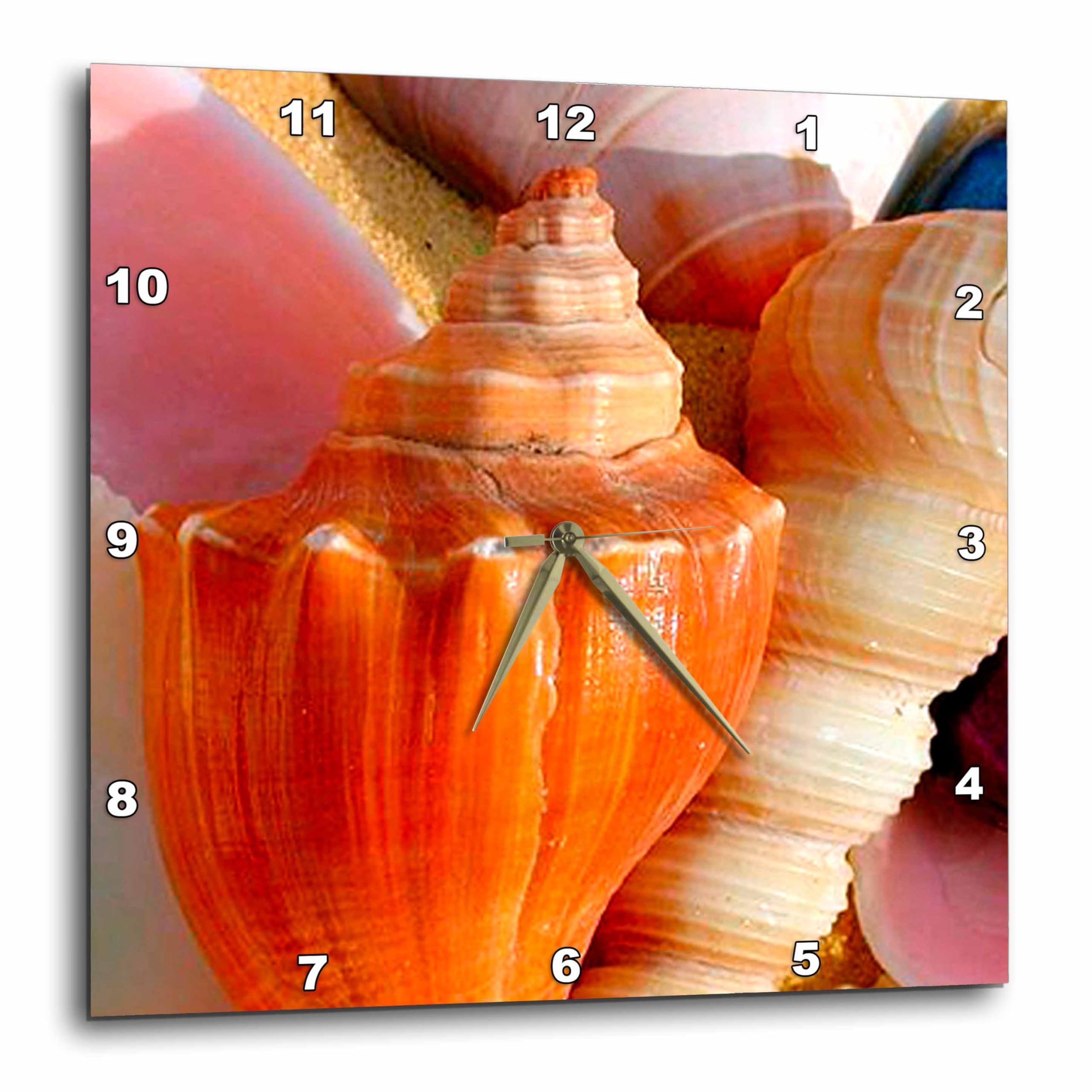 Horloge murale motif coquillages souvenir de vacances océaniques dpp_934_1 3dRose