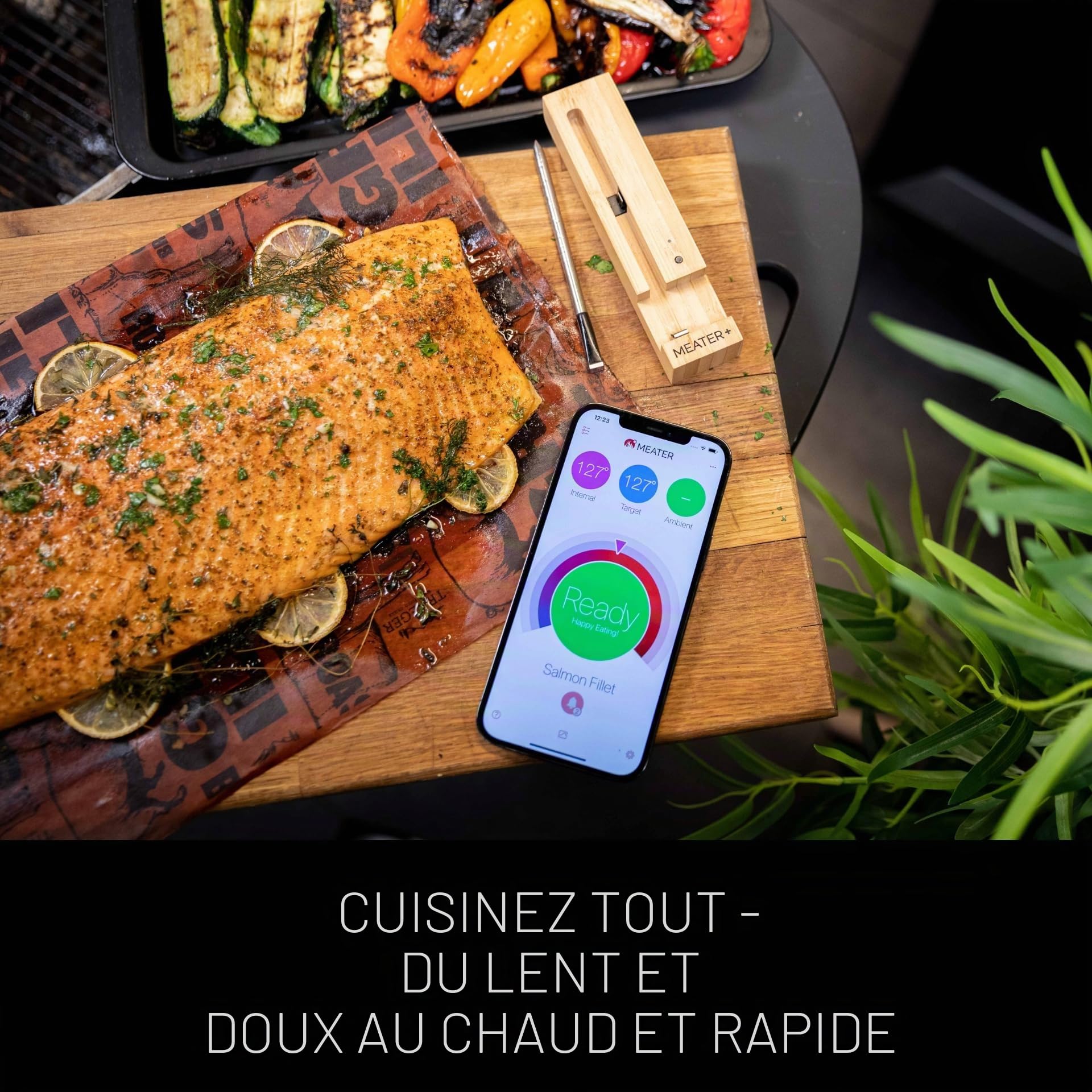 MEATER Plus Thermomètre à Viande Intelligent Sans Fil Bluetooth WiFi Jusqu'à 50m