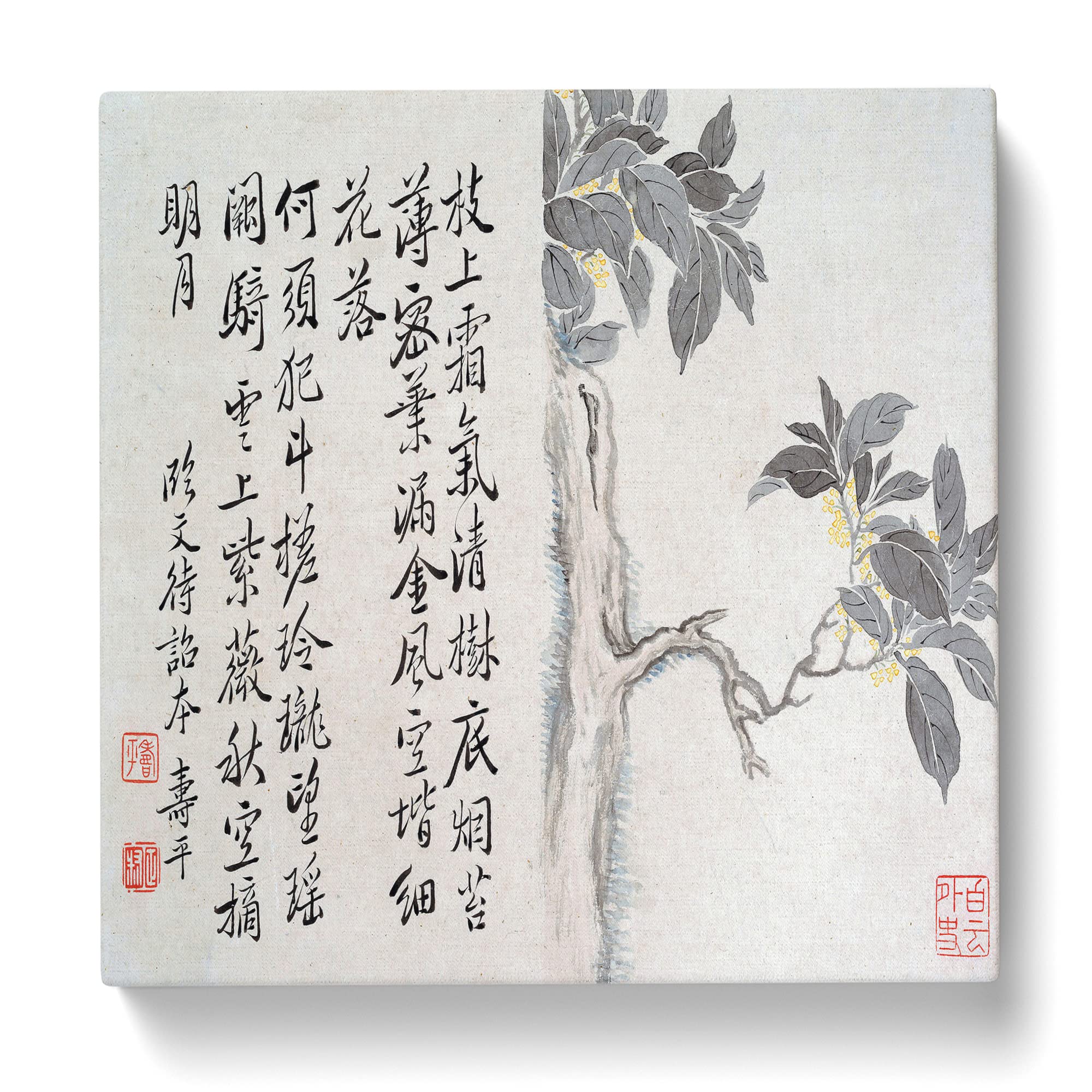 Cassia Tree by Yun Shouping Canvas Print, Mixed, 35L x 35W cm - Image 3
